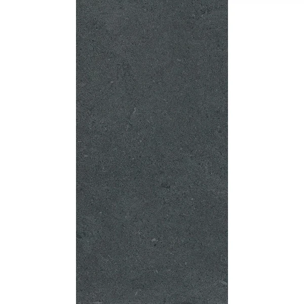 

керамогранит gray 60х120 черный 1206001082