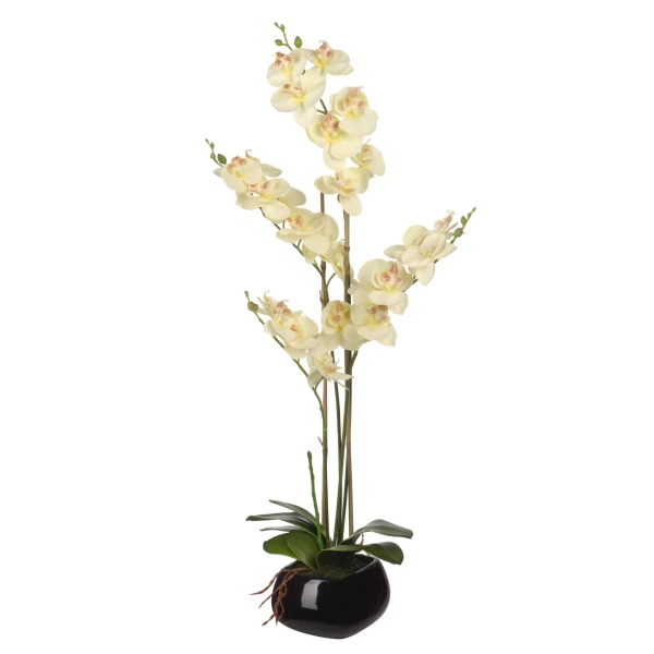 Фото Композиция цветочная белая орхидея в640 engard yw-35