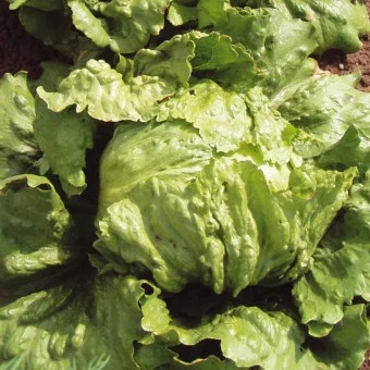 ΡΠ°Π»Π°Ρ ΠΊΠΎΡΠ°Π½Π½ΡΠΉ Π°ΠΉΡΠ±Π΅ΡΠ³ Π³ΡΠ΅ΠΉΡ Π»Π΅ΠΉΠΊΡ. Π‘ΠΌΠΎΡΡΠ΅ΡΡ ΡΠΎΡΠΎ ΡΠ°Π»Π°Ρ ΠΊΠΎΡΠ°Π½Π½ΡΠΉ Π°ΠΉΡΠ±Π΅ΡΠ³ Π³ΡΠ΅ΠΉΡ Π»Π΅ΠΉΠΊΡ. Π‘ΠΌΠΎΡΡΠ΅ΡΡ ΠΊΠ°ΡΡΠΈΠ½ΠΊΡ ΡΠ°Π»Π°Ρ ΠΊΠΎΡΠ°Π½Π½ΡΠΉ Π°ΠΉΡΠ±Π΅ΡΠ³ Π³ΡΠ΅ΠΉΡ Π»Π΅ΠΉΠΊΡ. ΠΠ°ΡΡΠΈΠ½ΠΊΠ° ΠΏΡΠΎ ΡΠ°Π»Π°Ρ ΠΊΠΎΡΠ°Π½Π½ΡΠΉ Π°ΠΉΡΠ±Π΅ΡΠ³ Π³ΡΠ΅ΠΉΡ Π»Π΅ΠΉΠΊΡ. Π€ΠΎΡΠΎ ΡΠ°Π»Π°Ρ ΠΊΠΎΡΠ°Π½Π½ΡΠΉ Π°ΠΉΡΠ±Π΅ΡΠ³ Π³ΡΠ΅ΠΉΡ Π»Π΅ΠΉΠΊΡ ΡΠ°Π»Π°Ρ ΠΊΠΎΡΠ°Π½Π½ΡΠΉ Π°ΠΉΡΠ±Π΅ΡΠ³ Π³ΡΠ΅ΠΉΡ Π»Π΅ΠΉΠΊΡ. Π‘ΠΌΠΎΡΡΠ΅ΡΡ ΡΠΎΡΠΎ ΡΠ°Π»Π°Ρ ΠΊΠΎΡΠ°Π½Π½ΡΠΉ Π°ΠΉΡΠ±Π΅ΡΠ³ Π³ΡΠ΅ΠΉΡ Π»Π΅ΠΉΠΊΡ. Π‘ΠΌΠΎΡΡΠ΅ΡΡ ΠΊΠ°ΡΡΠΈΠ½ΠΊΡ ΡΠ°Π»Π°Ρ ΠΊΠΎΡΠ°Π½Π½ΡΠΉ Π°ΠΉΡΠ±Π΅ΡΠ³ Π³ΡΠ΅ΠΉΡ Π»Π΅ΠΉΠΊΡ. ΠΠ°ΡΡΠΈΠ½ΠΊΠ° ΠΏΡΠΎ ΡΠ°Π»Π°Ρ ΠΊΠΎΡΠ°Π½Π½ΡΠΉ Π°ΠΉΡΠ±Π΅ΡΠ³ Π³ΡΠ΅ΠΉΡ Π»Π΅ΠΉΠΊΡ. Π€ΠΎΡΠΎ ΡΠ°Π»Π°Ρ ΠΊΠΎΡΠ°Π½Π½ΡΠΉ Π°ΠΉΡΠ±Π΅ΡΠ³ Π³ΡΠ΅ΠΉΡ Π»Π΅ΠΉΠΊΡ