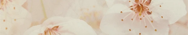 

бордюр сакура 01 коричневый 40*7,5, Коричневая