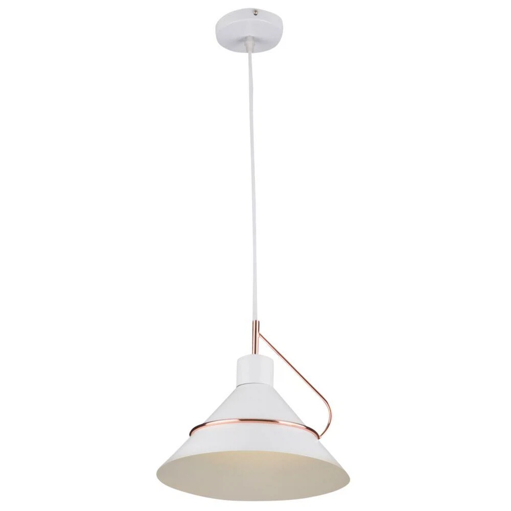 Изображение товара Светильник подвесной Amis FR5025PL-01W