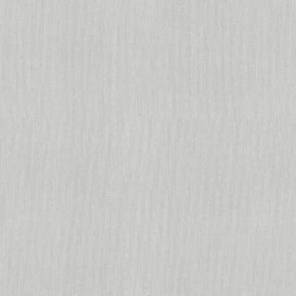 

обои hc71525-40 homecolor monochrome винил на флизе 1.06x10.05м однотонный светло-серый