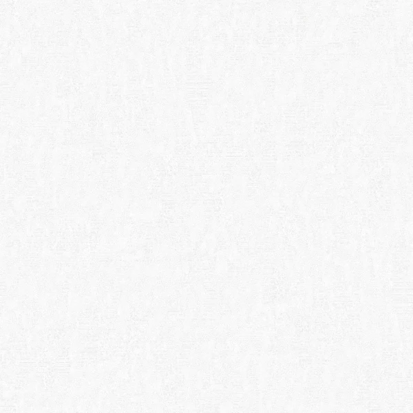 Фото Обои 60410-12 erismann phantom флизелин 1,06*10,05м однотонный белый