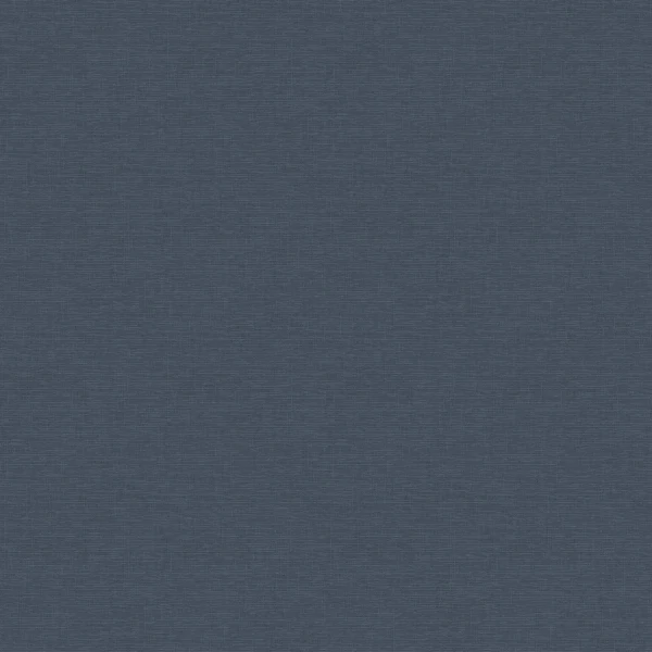 Фото Обои 60465-06 erismann amazonika флизелин 1,06*10,05м однотонный синий