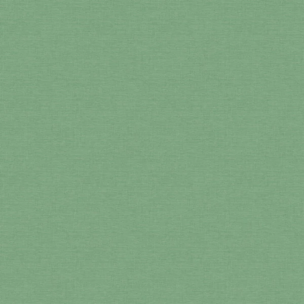 Фото Обои 60465-07 erismann amazonika флизелин 1,06*10,05м однотонный зеленый