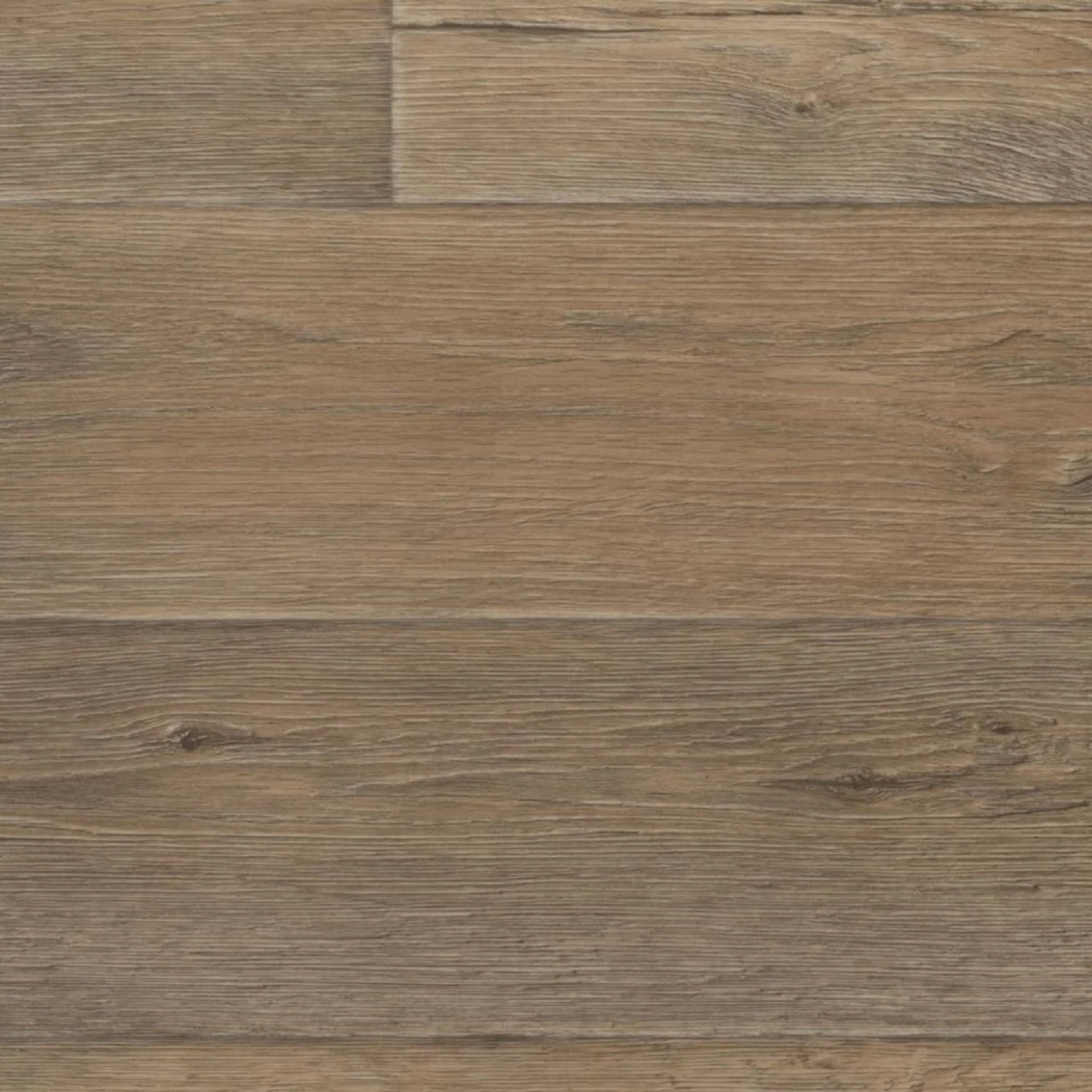 Изображение товара Бытовой линолеум Tarkett TEXAS TEXAS 1 31 класс, 3,5 м, дизайн под дерево