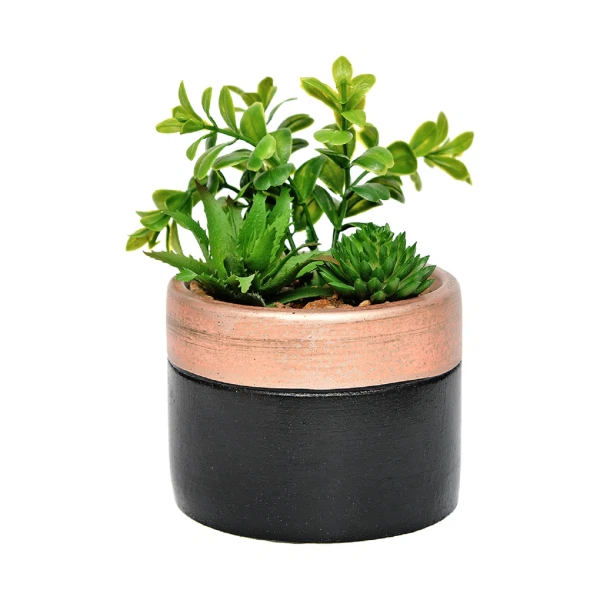 

композиция суккулентов в кашпо 82*82*145 вещицы зеленый rio10