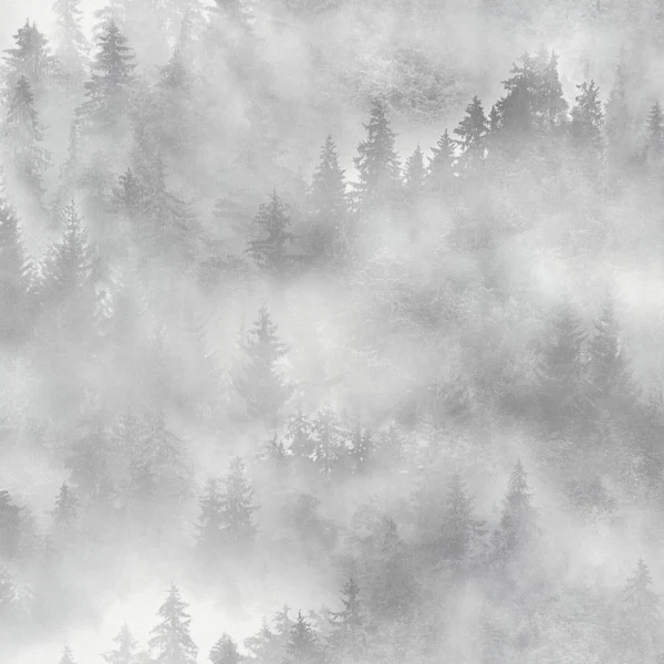 Фото Обои hc71960-14 homecolor my forest флизелин 1,06*10м флористика серый