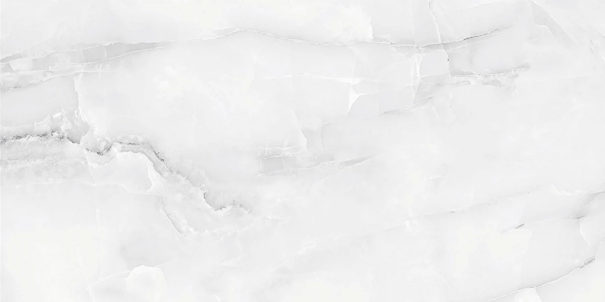 Изображение товара Керамогранит ABSOLUT GRES Snow Onix серый 120x60 см большой формат для современного дизайна