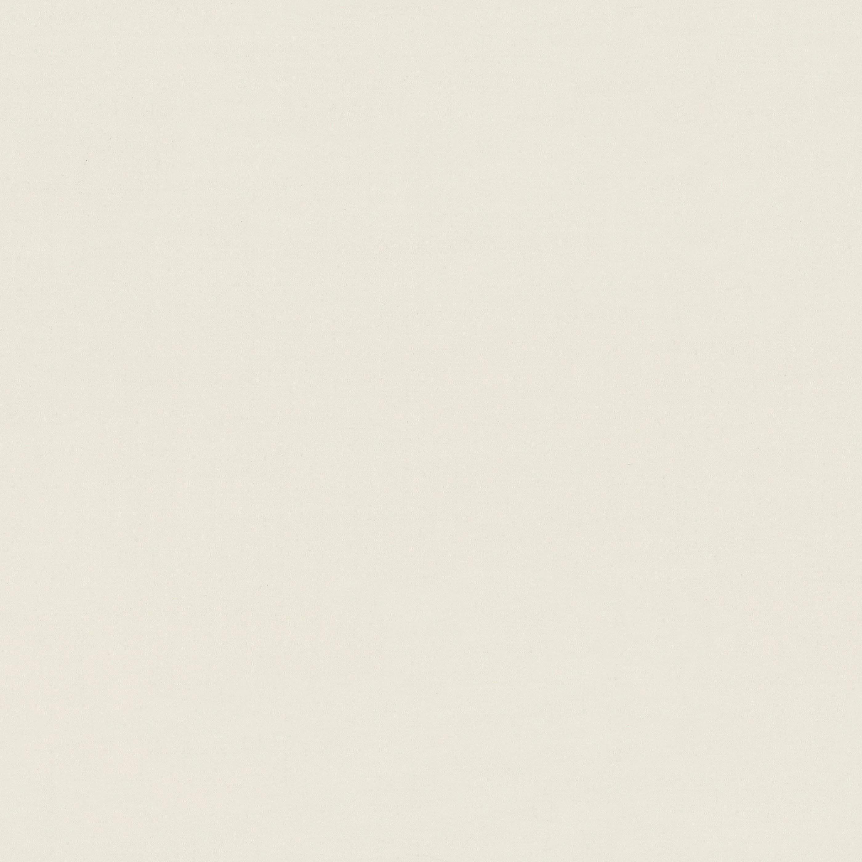 Изображение товара Обои флизелиновые Vernice Monte Solaro белые 10,05x1,06м