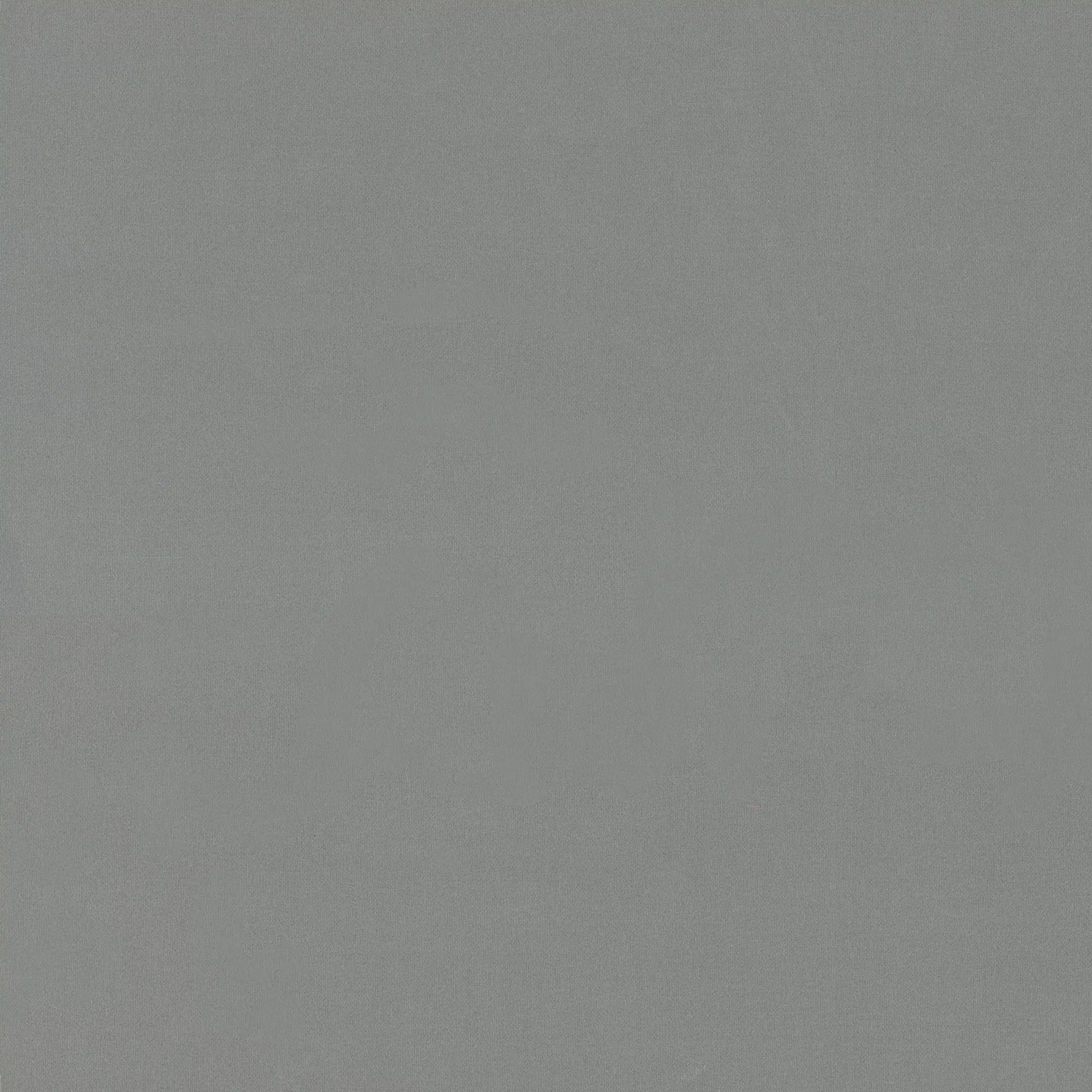 Изображение товара Обои флизелиновые Mansory Euro Decor, серые, 1,06*10,05м, 7299-23