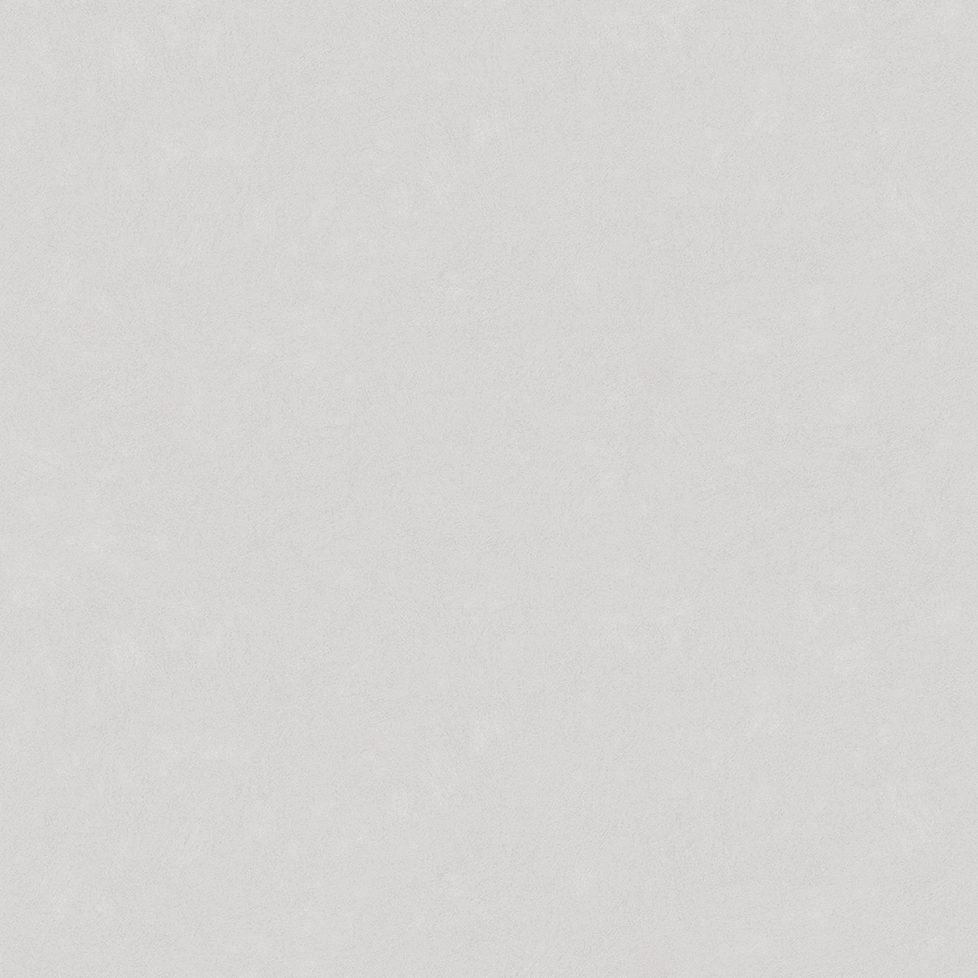 Изображение товара Обои флизелиновые VICTORIA STENOVA Магнолия фон бежевые (1,06*10,05), 585111