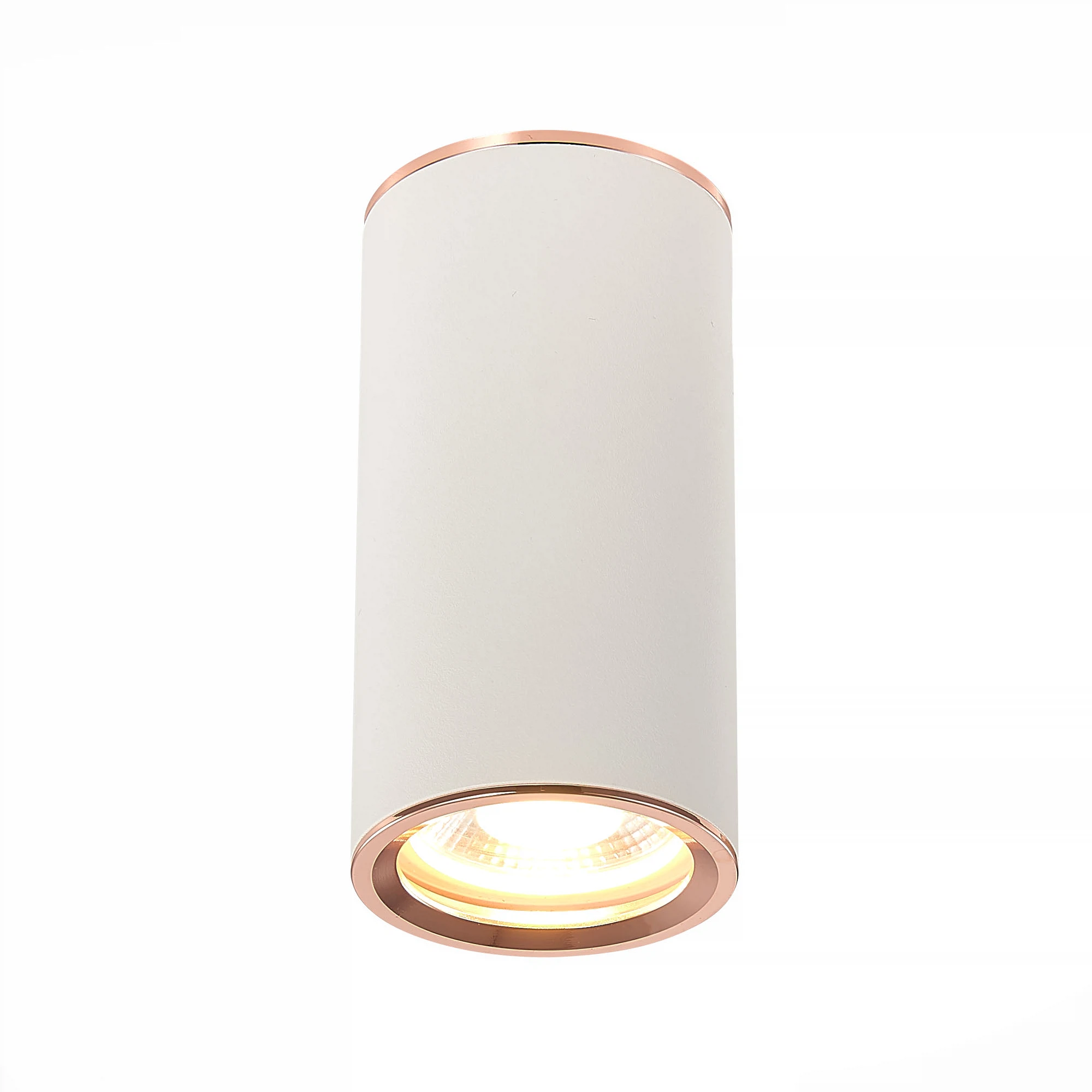 Изображение товара Потолочный светильник белый GU10 50W ST LUCE ST111.527.01 для уютных интерьеров