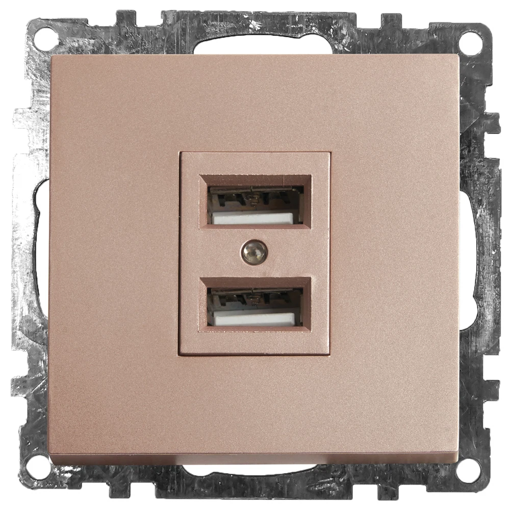 Изображение товара Розетка USB 2-местная STEKKER Катрин скрытая шампань 2А