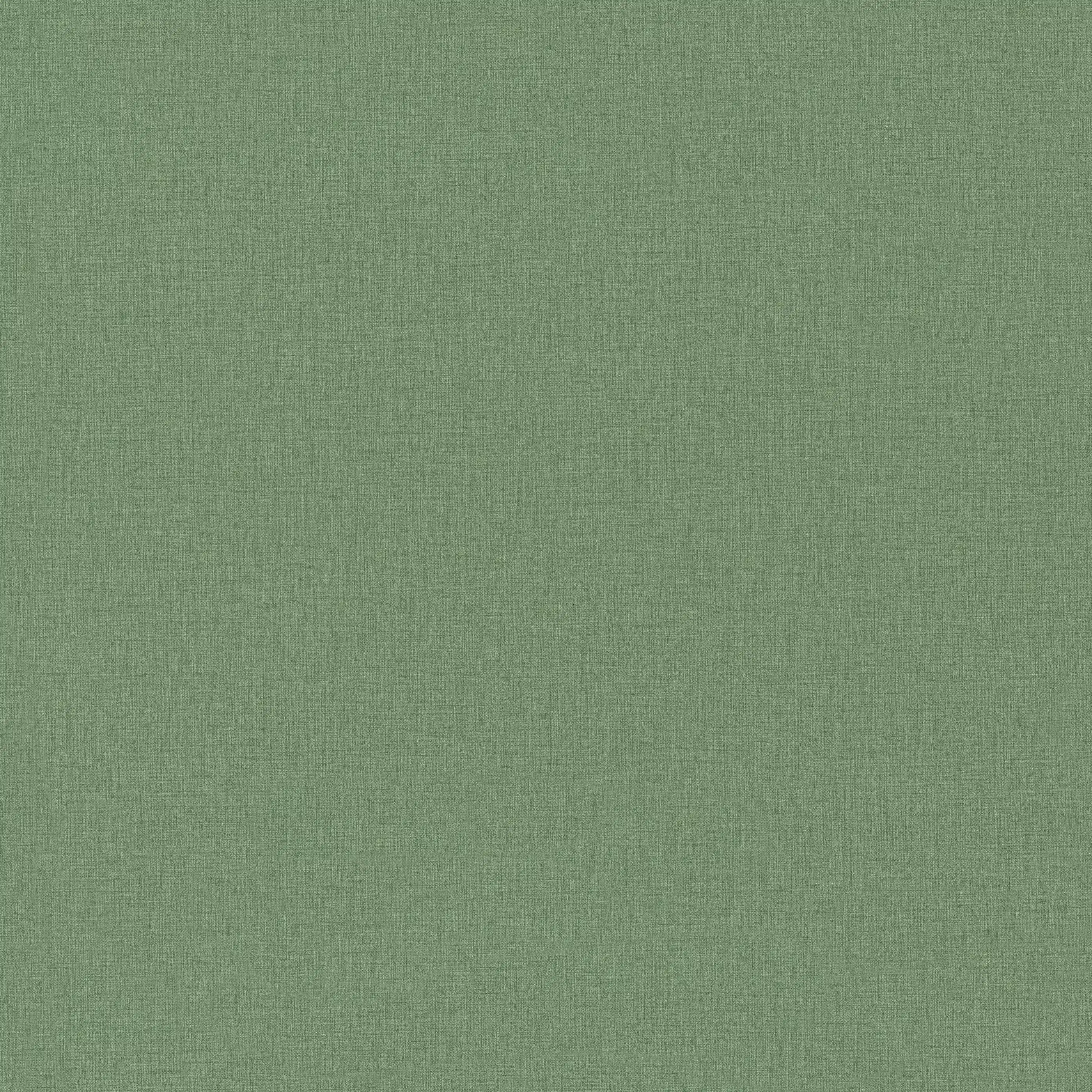 Изображение товара Флизелиновые обои Euro Decor Base, зеленые, 1,06*10,05м