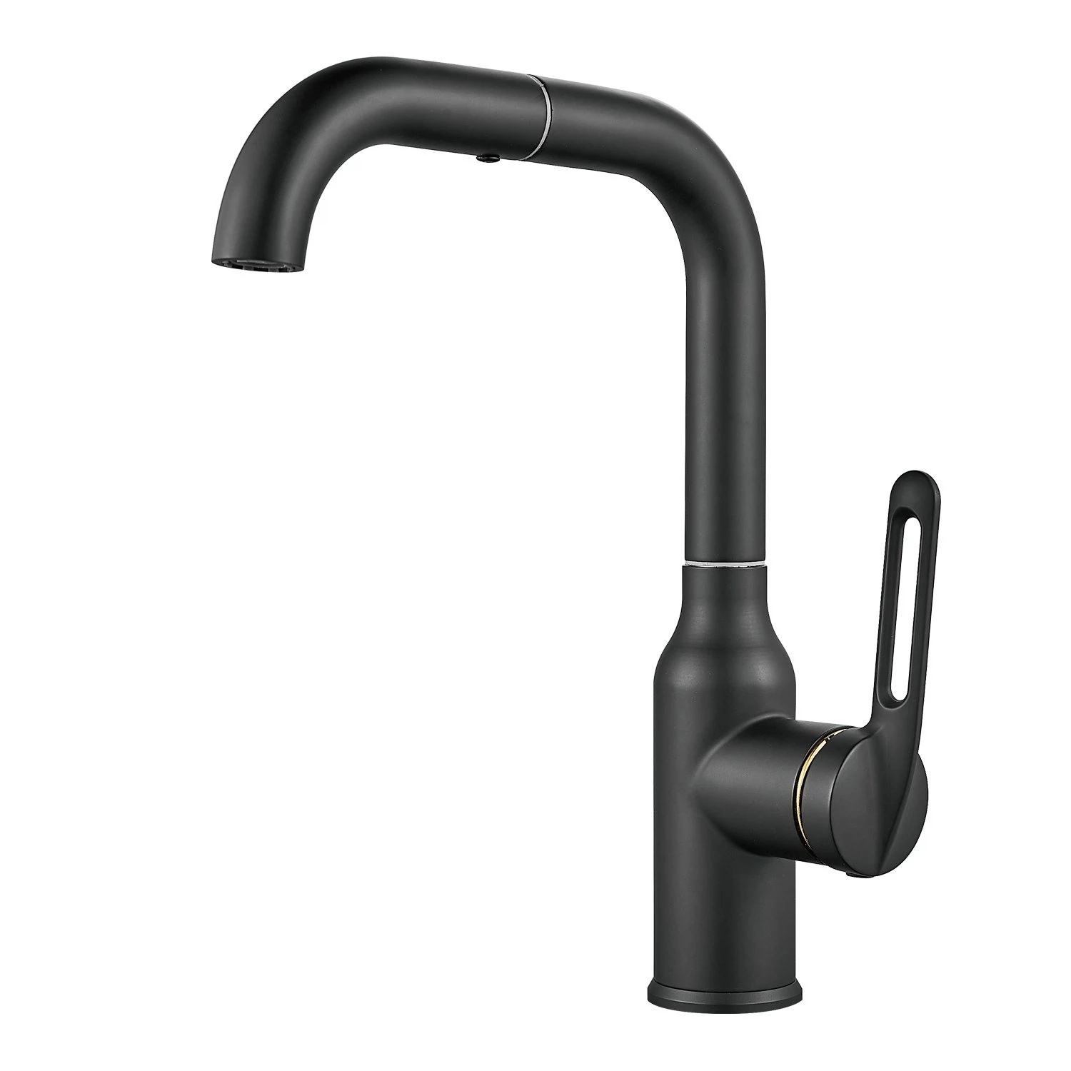 Изображение товара Raffine F201H — черный матовый, поворотный излив, керамический картридж