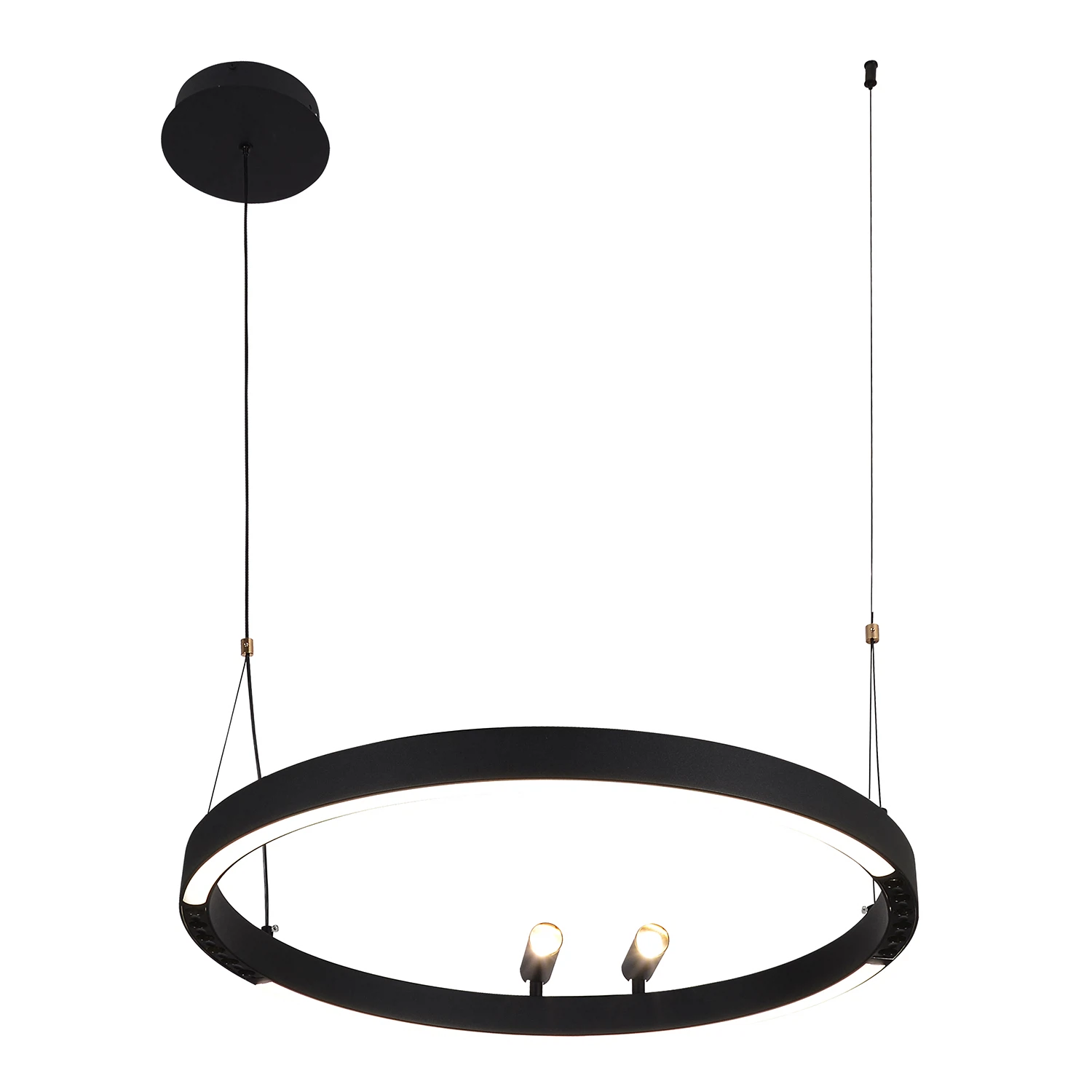 Изображение товара Люстра подвесная FAVOURITE 4474-1P встроенные светодиоды, LEDx58W + 2xLEDx3WВт, IP20 черный