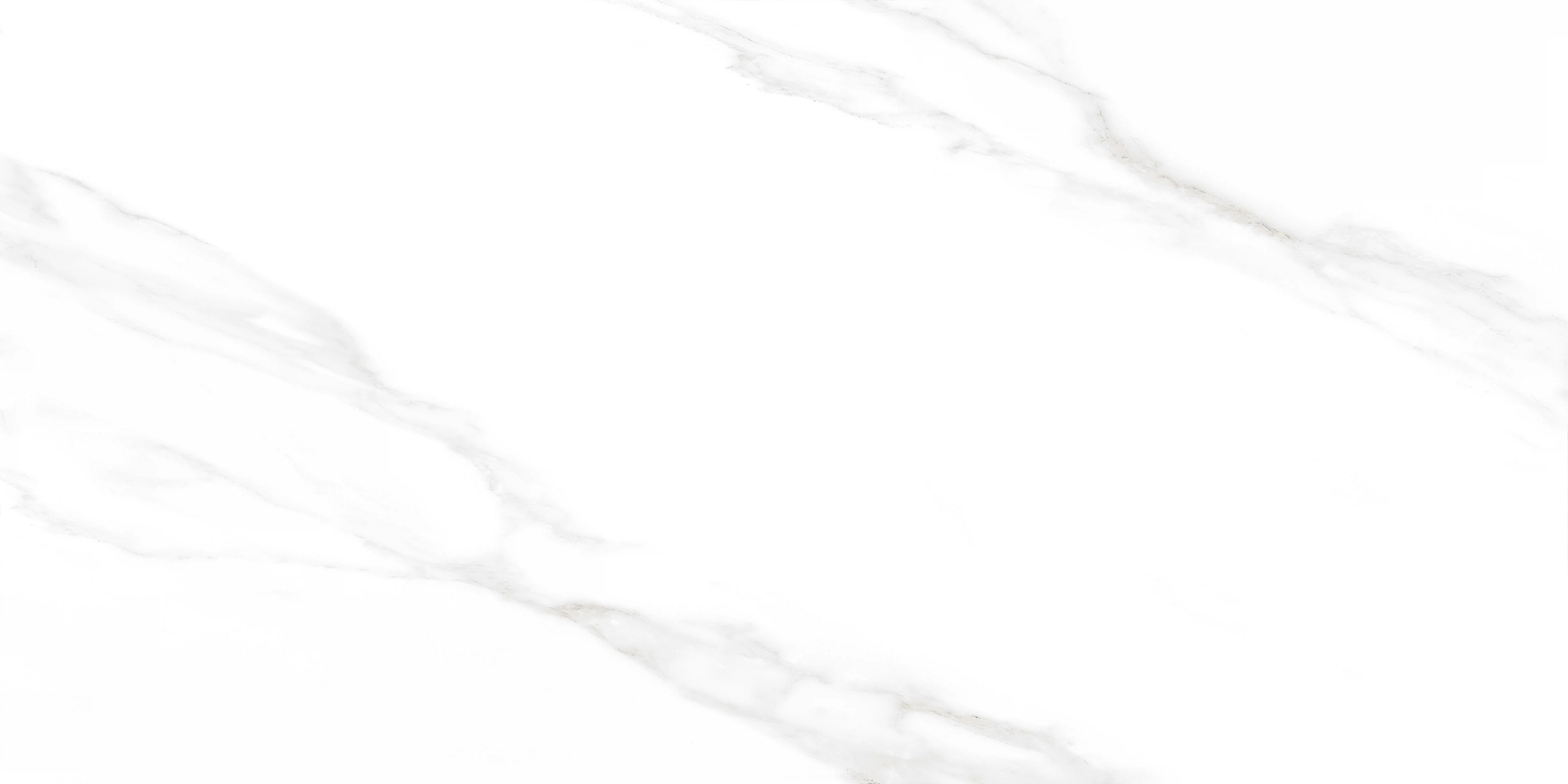 Изображение товара Керамогранит Carrara Excellent Silver белый 60x120 матовый для пола и стен