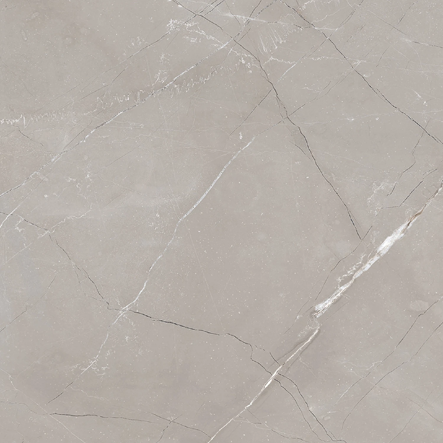 Изображение товара Керамогранит серый 60x60 матовый Vitrum Grigio Laparet для пола стен наружных работ