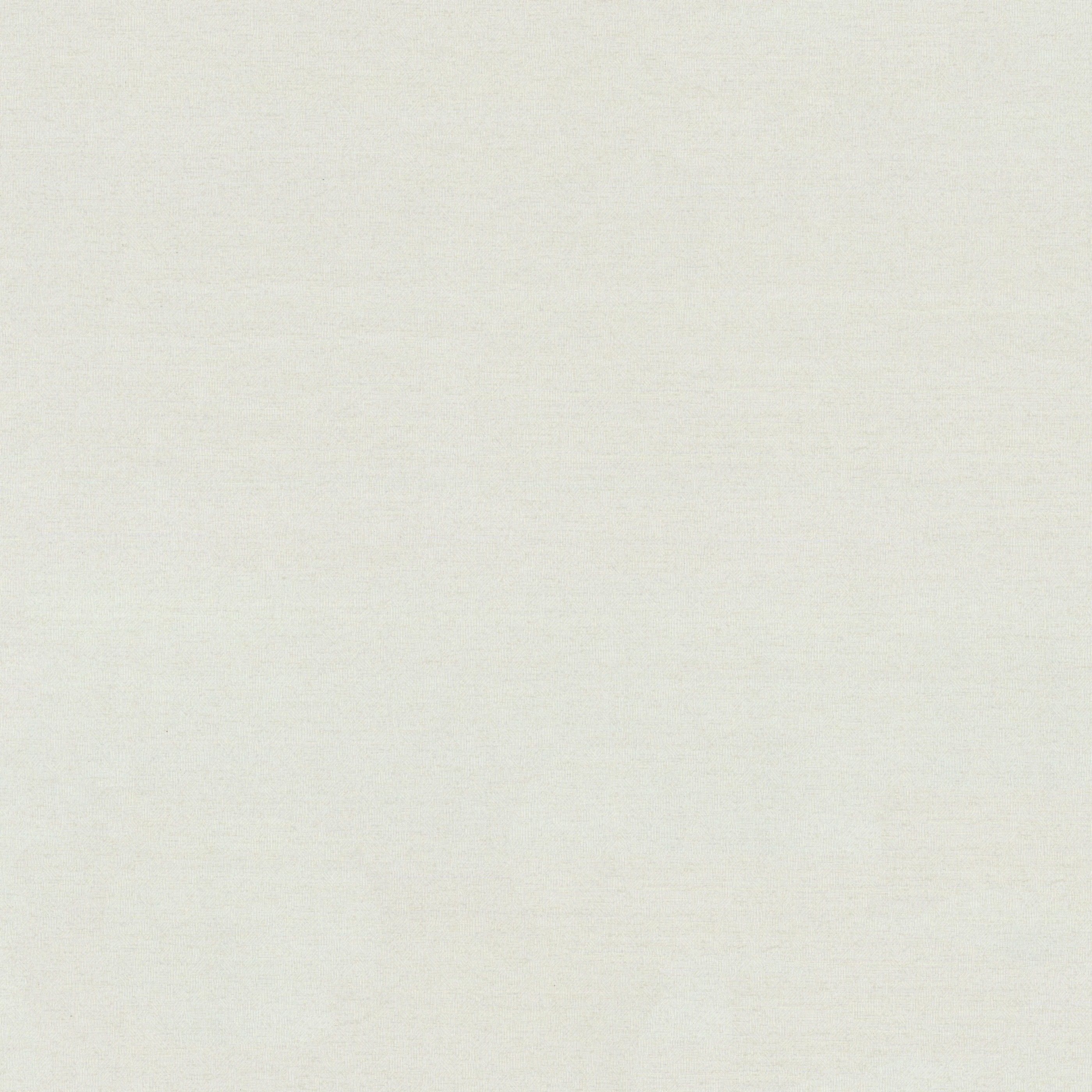 Изображение товара Обои флизелиновые Fibre Monte Solaro белые 10,05x1,06м