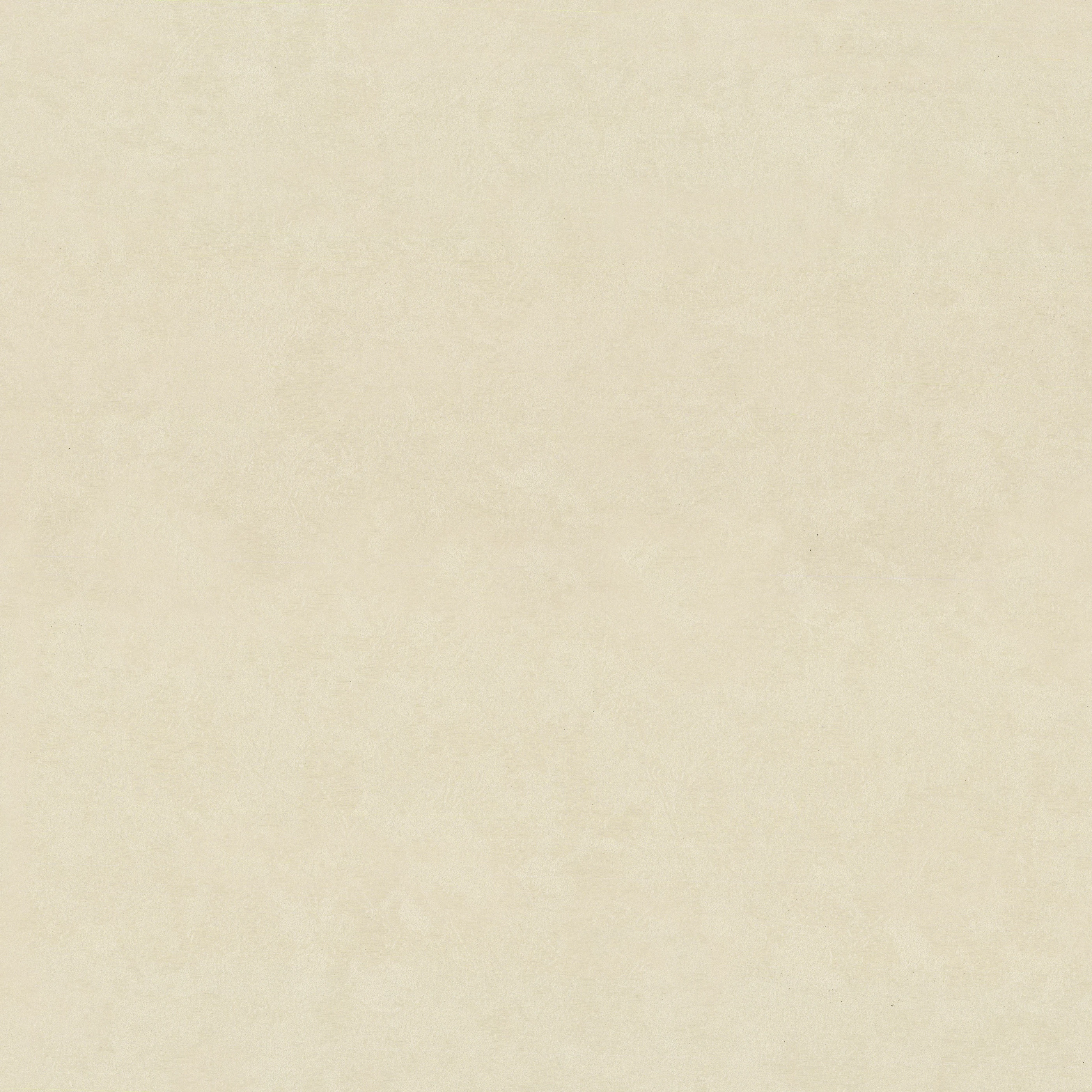 Изображение товара Обои флизелиновые Terra Euro Decor бежевые 1,06*10,05м 7336-19