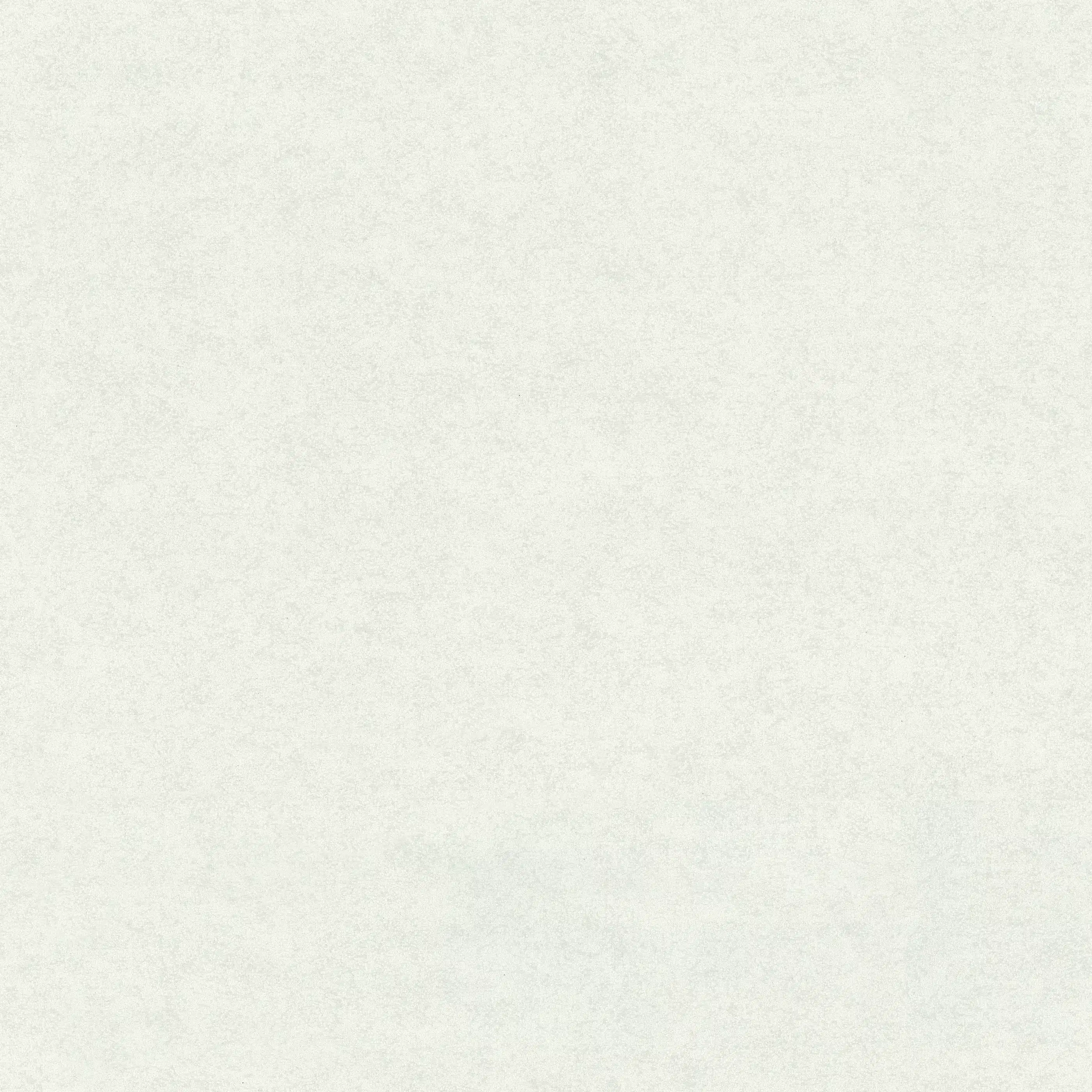 Изображение товара Обои флизелиновые Era 2 Euro Decor белые, 1,06х10,05м, винил тиснение