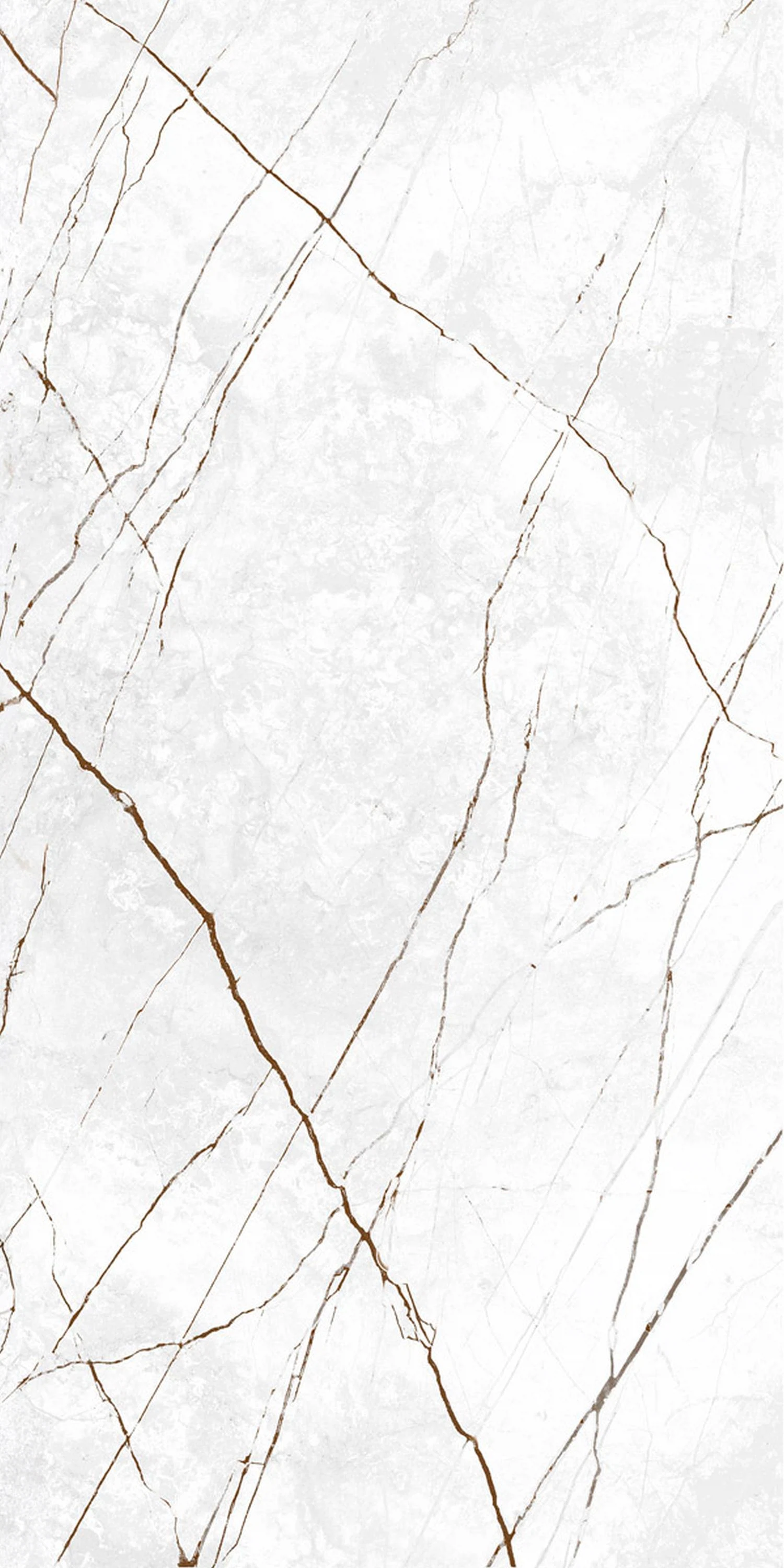 Изображение товара Керамогранит Сандра 120х60 белый LLR