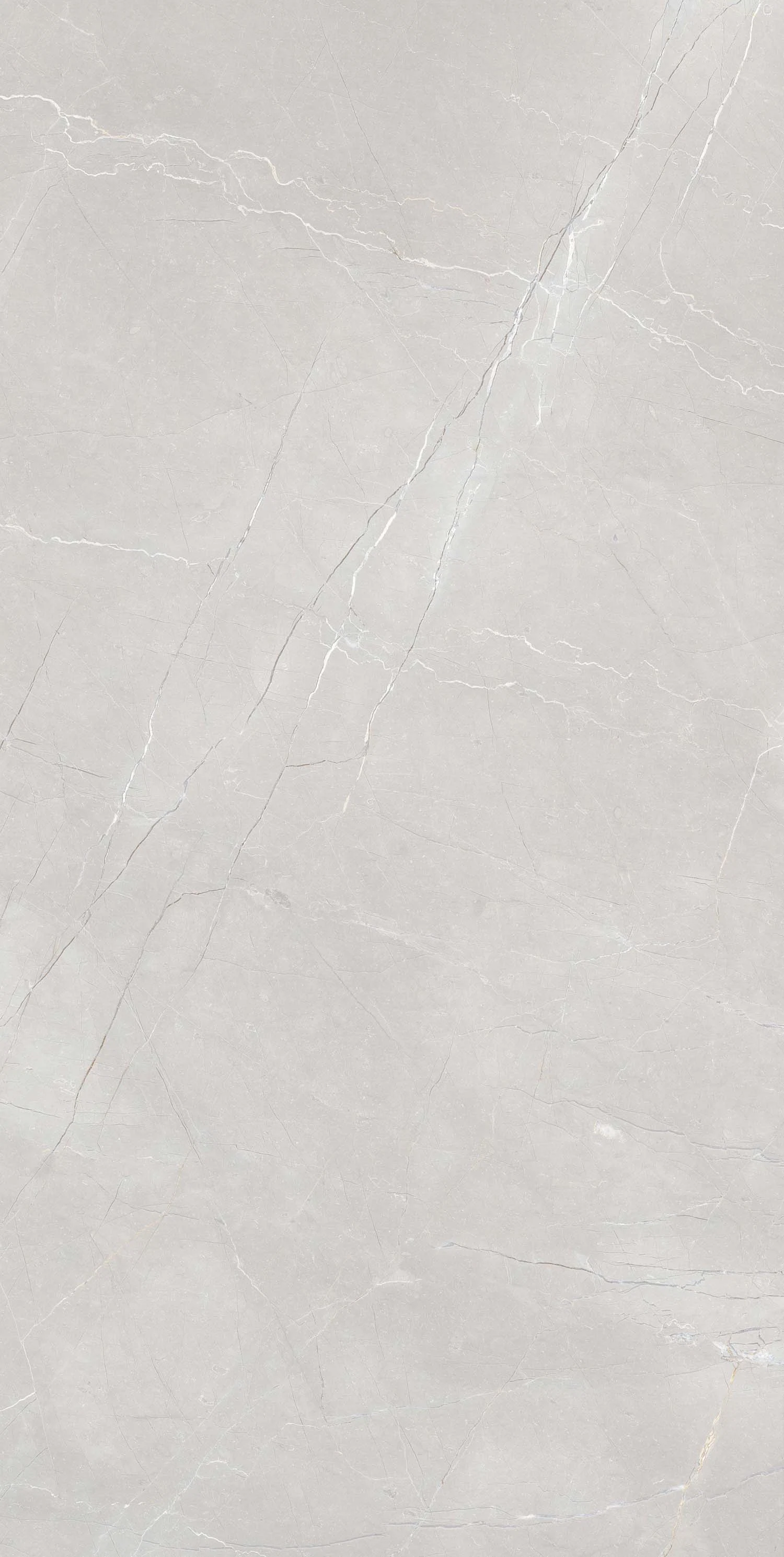 Изображение товара Керамогранит Liceo Bianco Rust Matt Carving 60x120