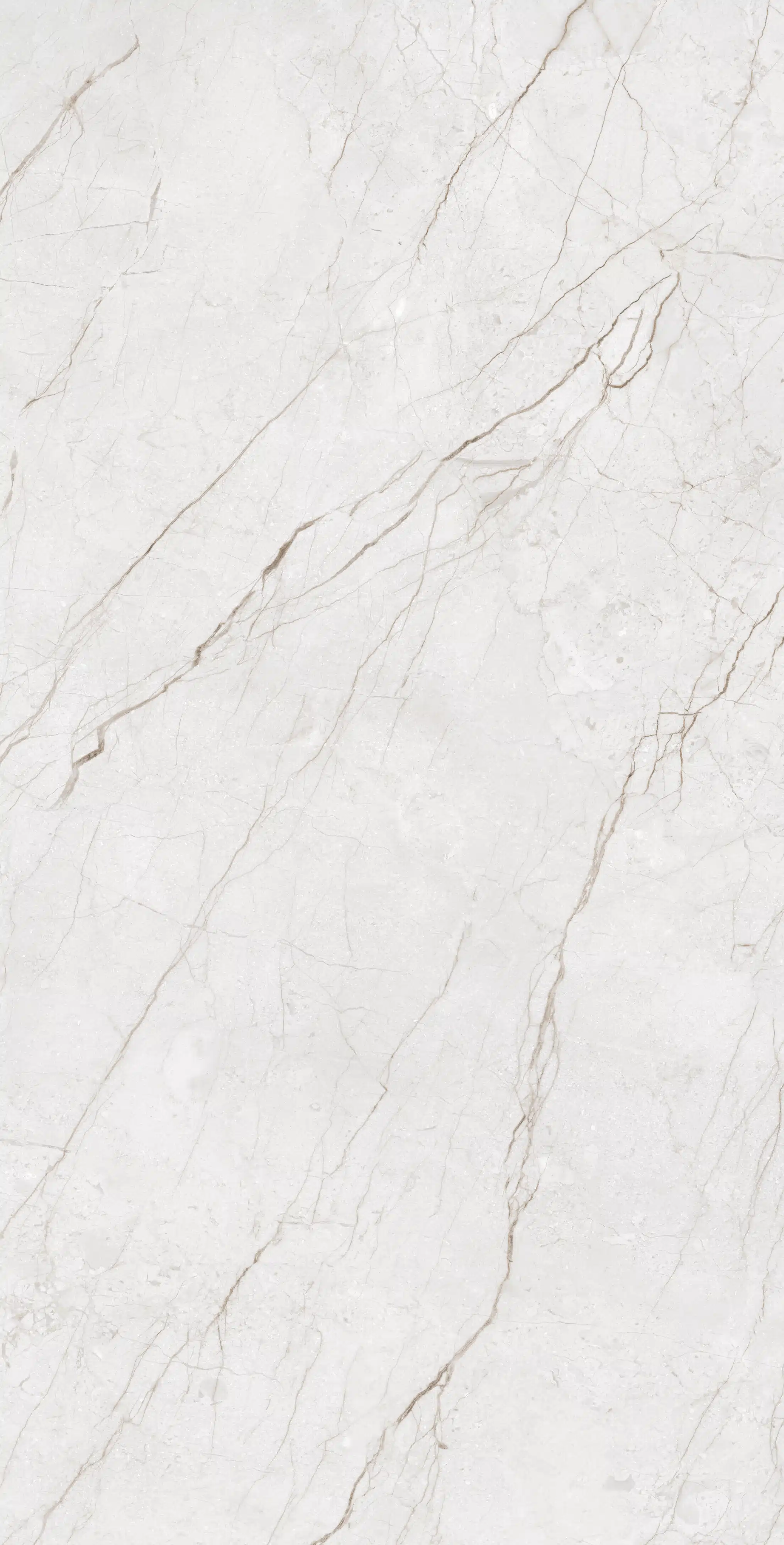 Изображение товара Керамогранит Arcadia Ceramica METERIA SILVER 60x120 см