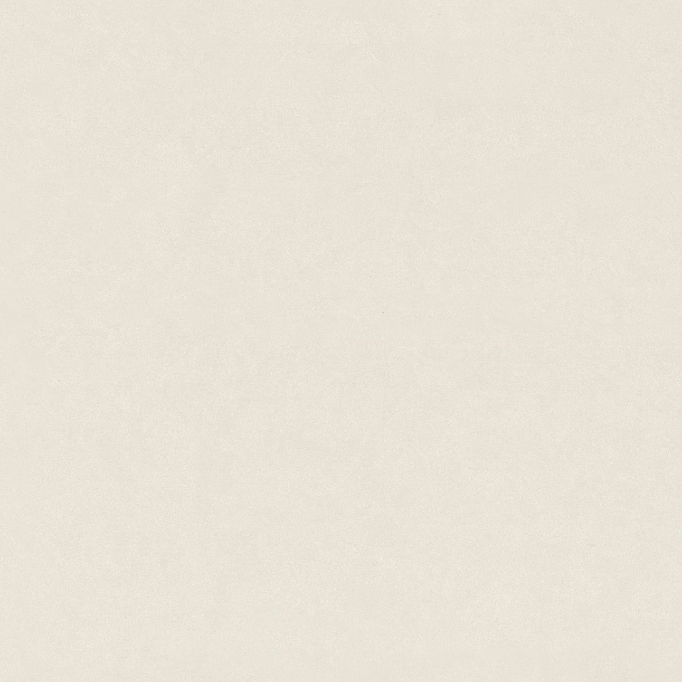 Изображение товара Обои флизелиновые Terra Euro Decor белые 1,06*10,05м