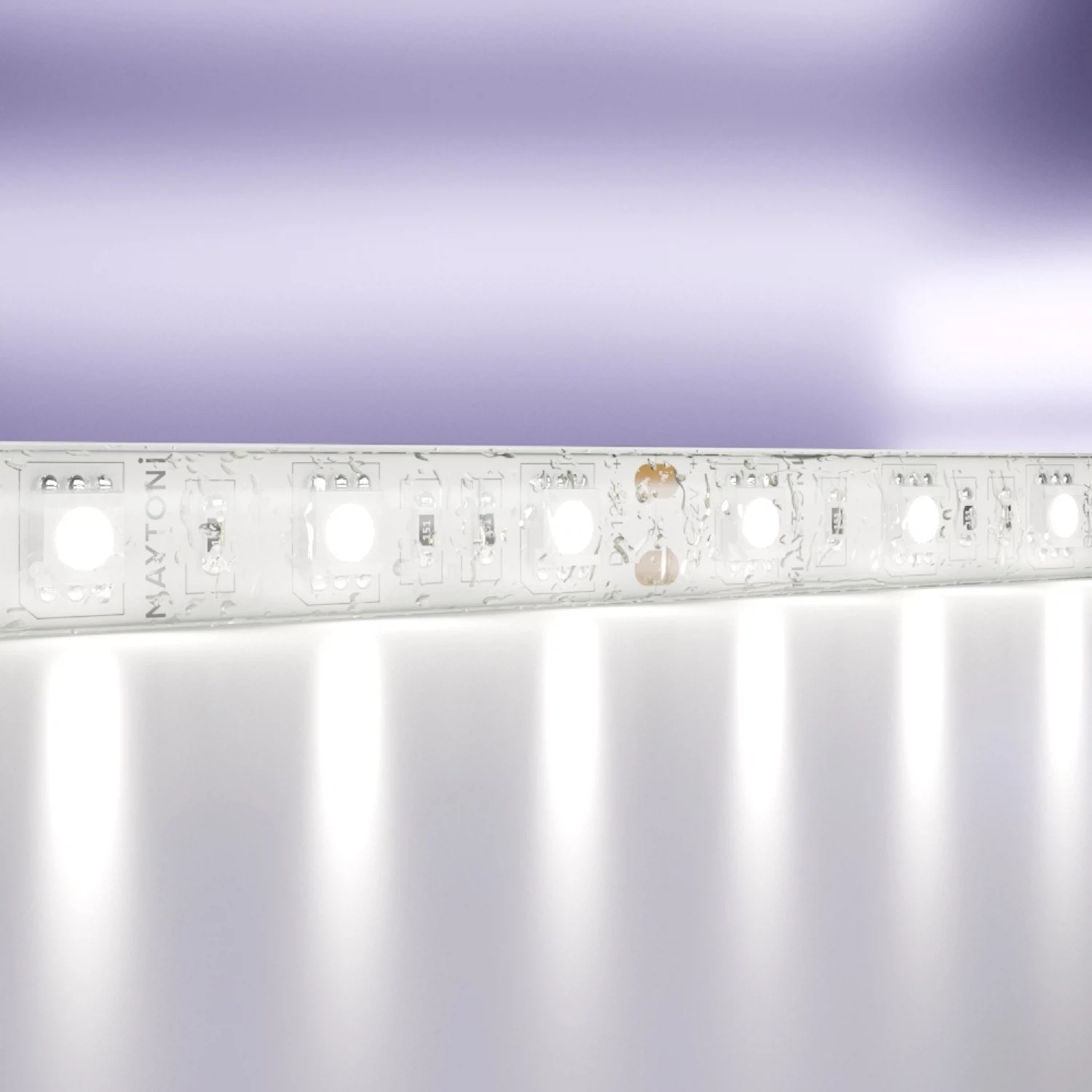 Изображение товара Светодиодная лента Maytoni Led Strip 12В 5050 14.4Вт/м IP65 5м Тёплый/холодный белый