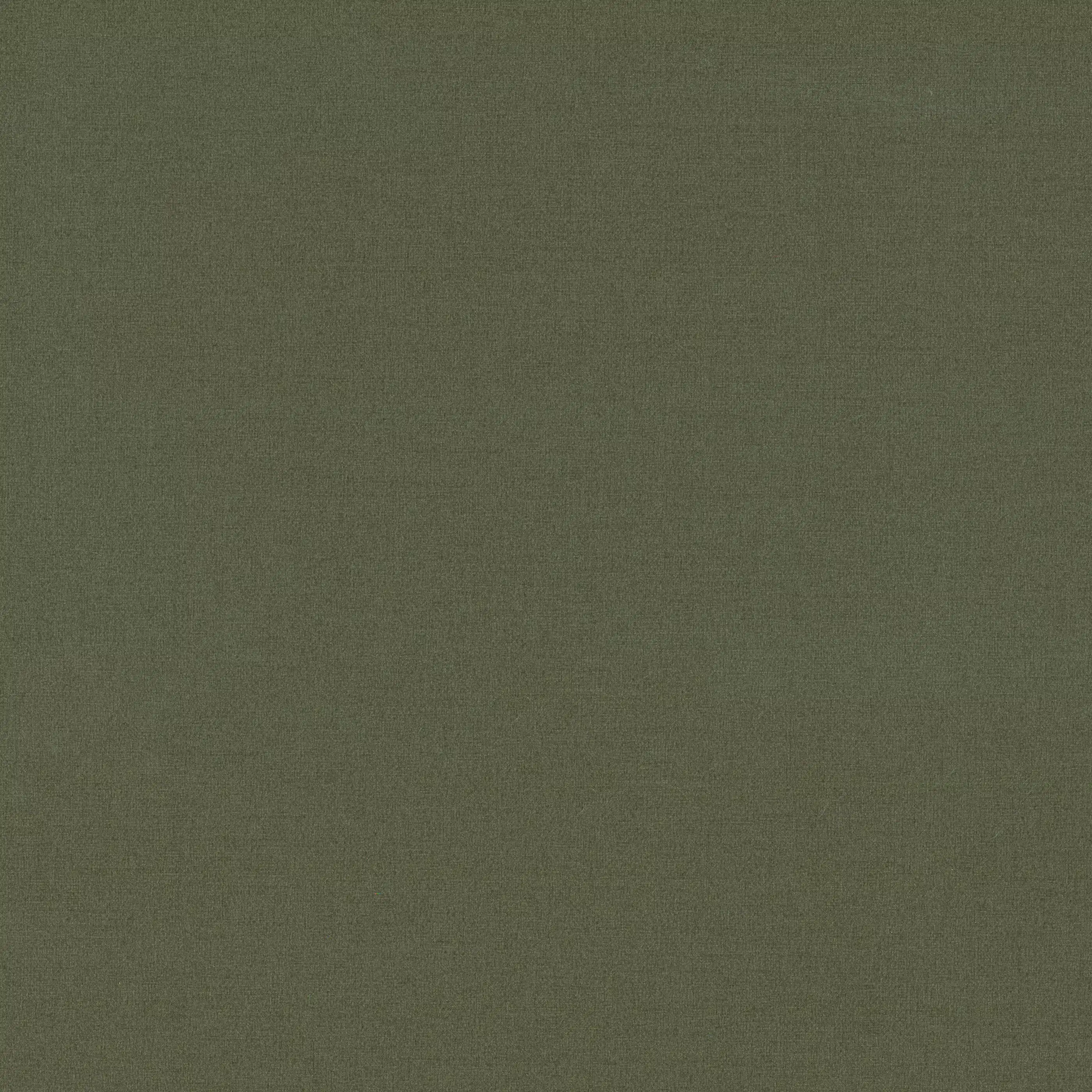 Изображение товара Обои флизелиновые Fibre Monte Solaro зеленые 10,05x1,06м