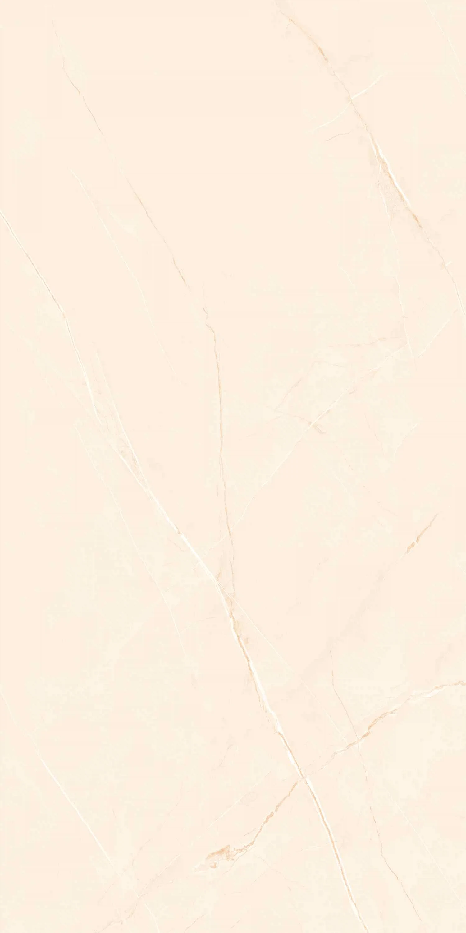 Изображение товара Керамогранит SCARLET IVORY (GLOSSY)