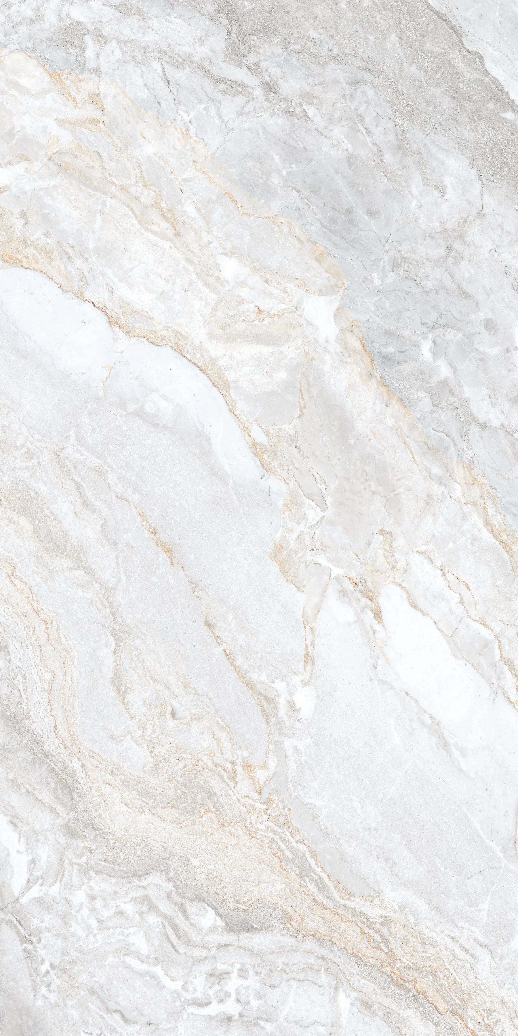 Изображение товара Керамогранит TRIVOLA BIANCO LAPPATO 60x120