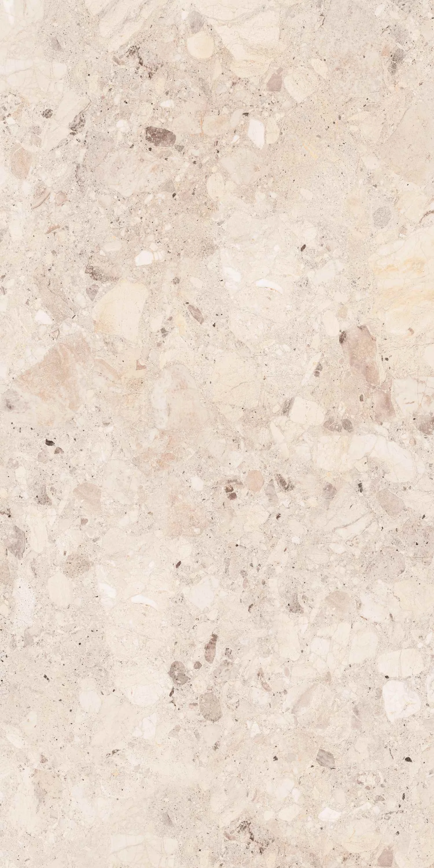 Изображение товара Керамогранит Belleza CLIO IVORY (DECK) 60х120