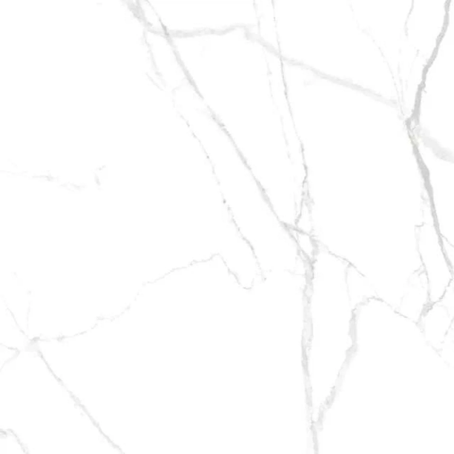 Изображение товара Керамогранит RS 159 CARVING 60x60 белый для пола высокой износостойкости