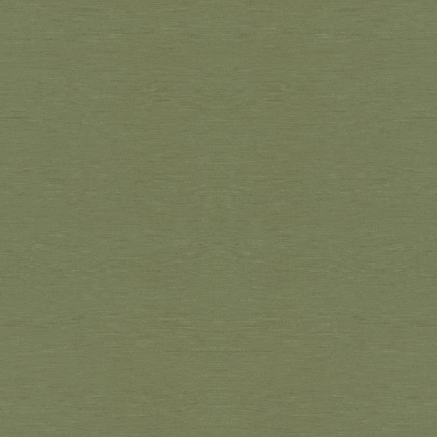 Изображение товара 687538 Обои Rasch (Garden) 10.05x0.53 виниловые на флизелиновой основе, зеленый