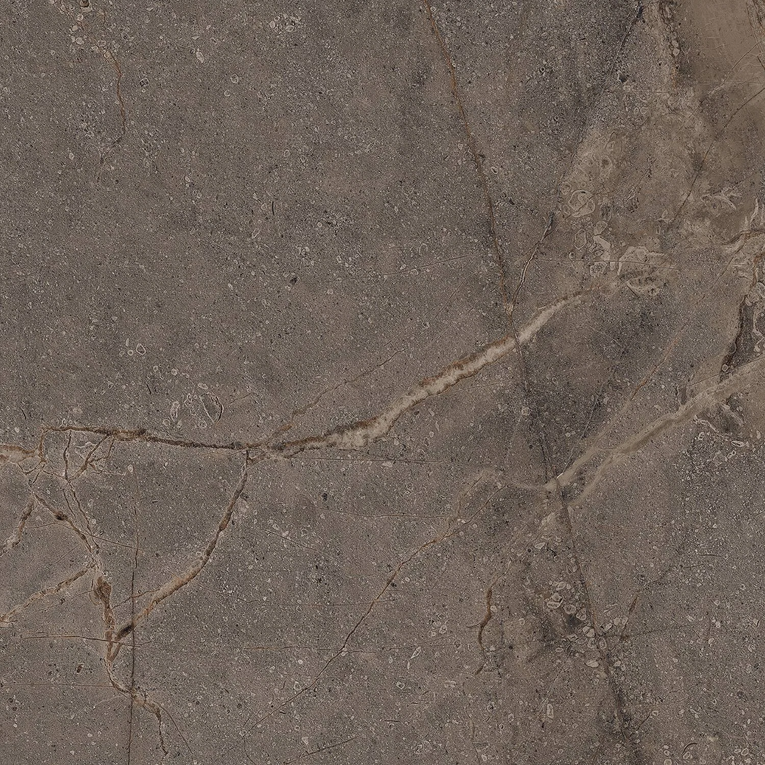 Изображение товара Керамогранит Mia Dark Sugar Carving 60x60 с кристаллическим блеском и металлизированными прожилками