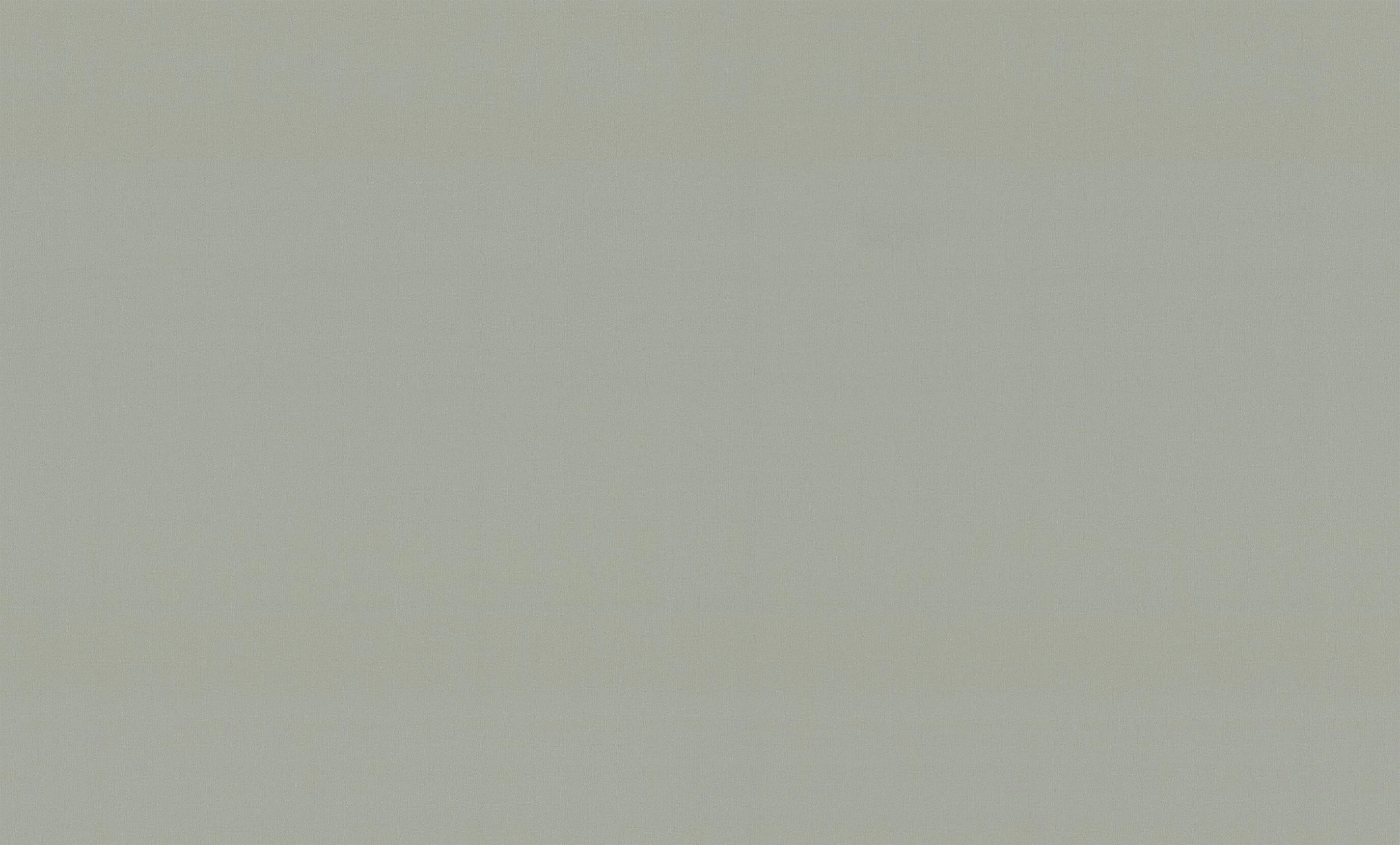 Изображение товара Обои флизелиновые PALITRA life Magnolia зеленые фон, 10,05х1,06м, PL72536-71