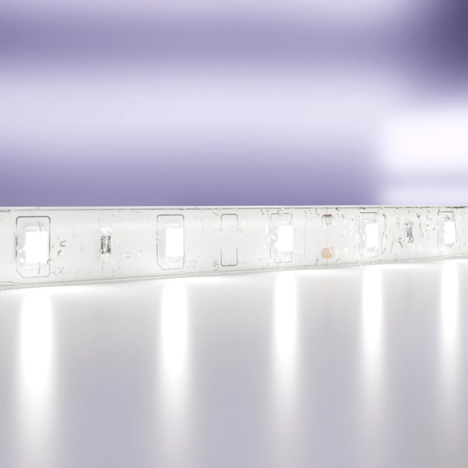 Изображение товара Светодиодная лента Maytoni Led Strip 12В 2835 4,8Вт/м 6000K 5м IP65 10107