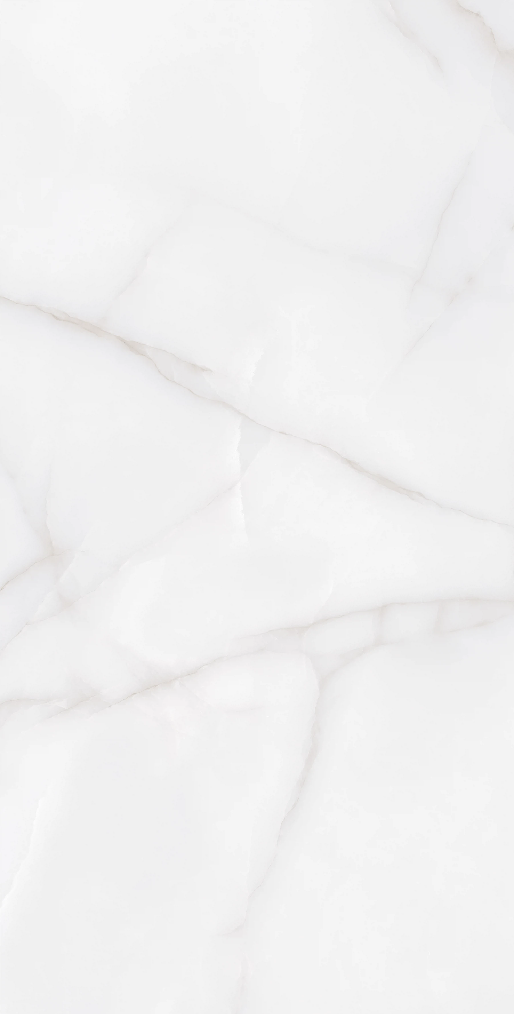 Изображение товара Керамогранит Arcadia Ceramica Feather Onyx 120x60 см, матовая, под мрамор