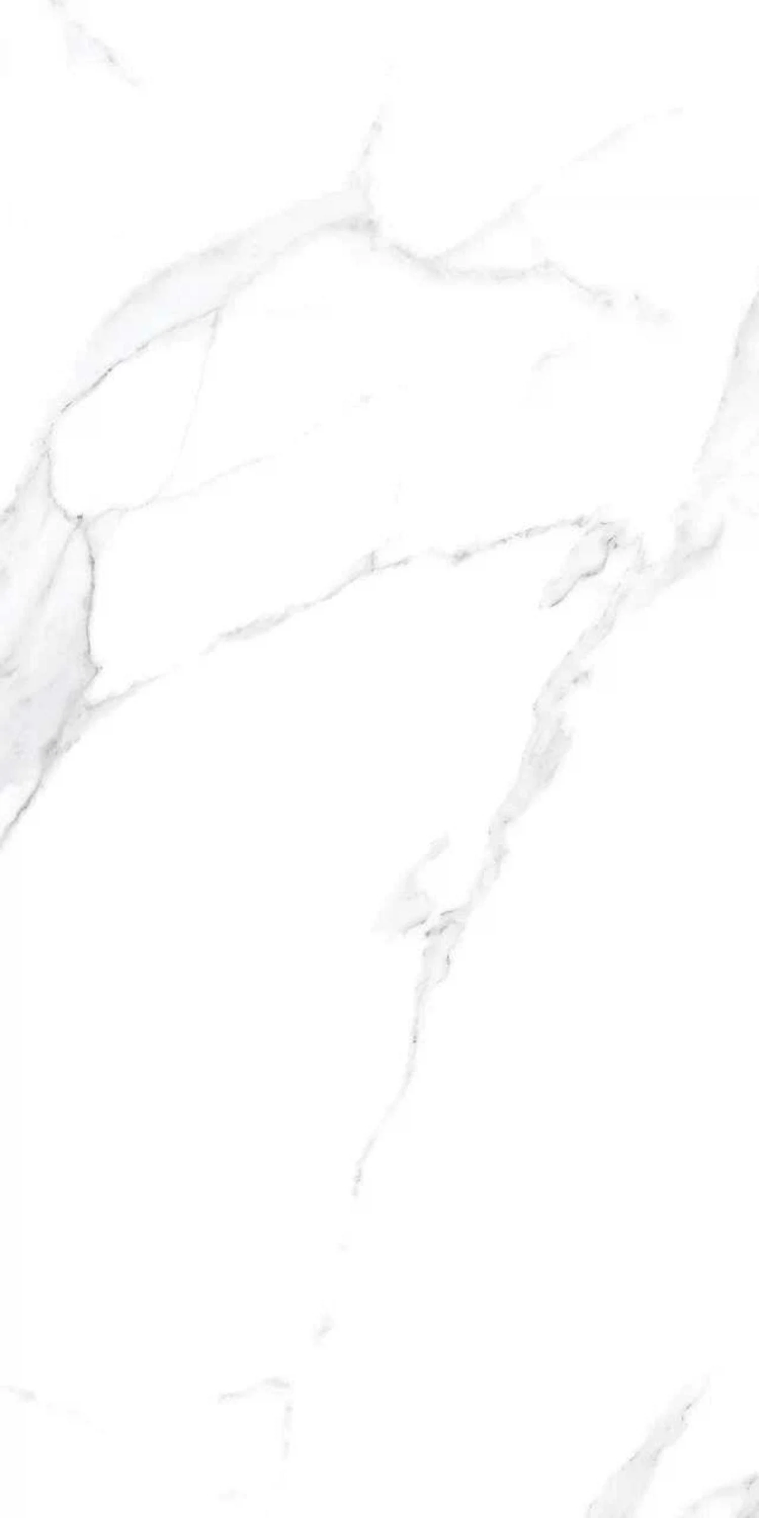 Изображение товара Керамогранит ORLANDO BIANCO (CARVING) 60х120 матовый под камень