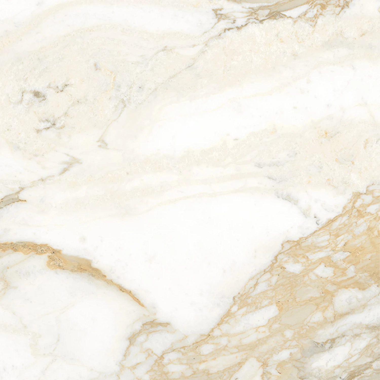 Изображение товара Керамогранит Calacatta Oro 60x60 матовый золотой для пола и стен