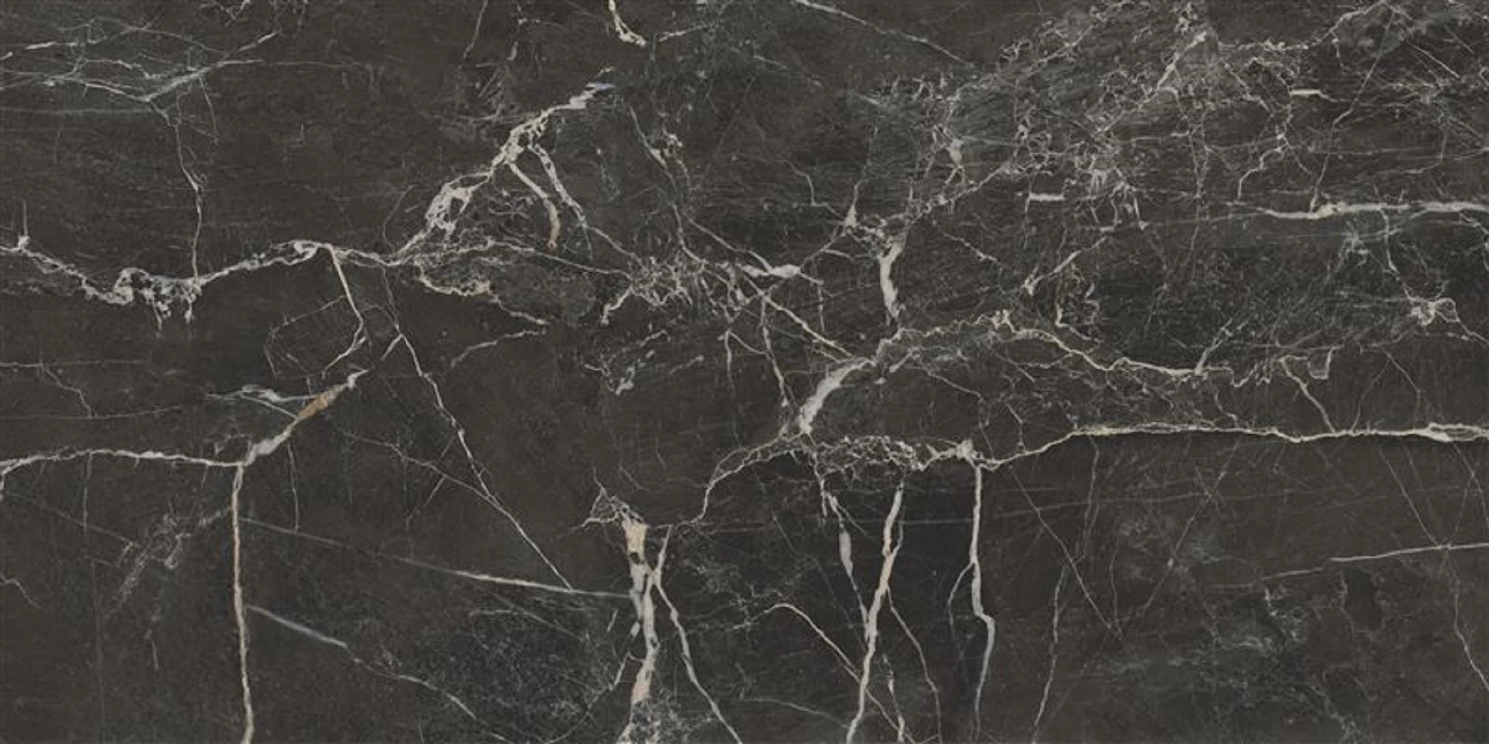 Изображение товара Керамогранит CULTO FORTE DEI MARMI ST LAUREN 60x30 см для пола и стен, матовая, черная, ректификова