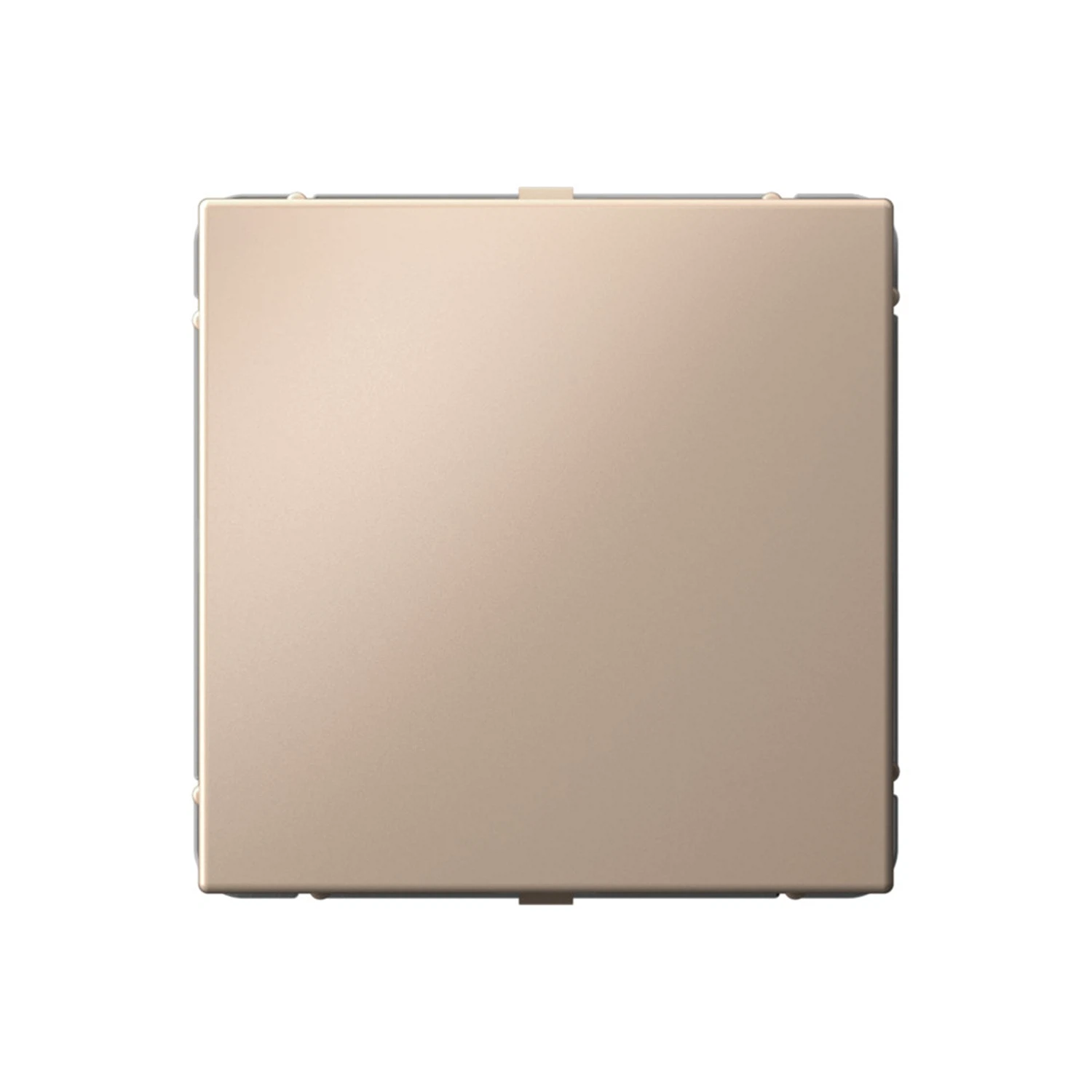 Изображение товара Заглушка Systemе Electric ArtGallery Песочный для многопостовых рамок