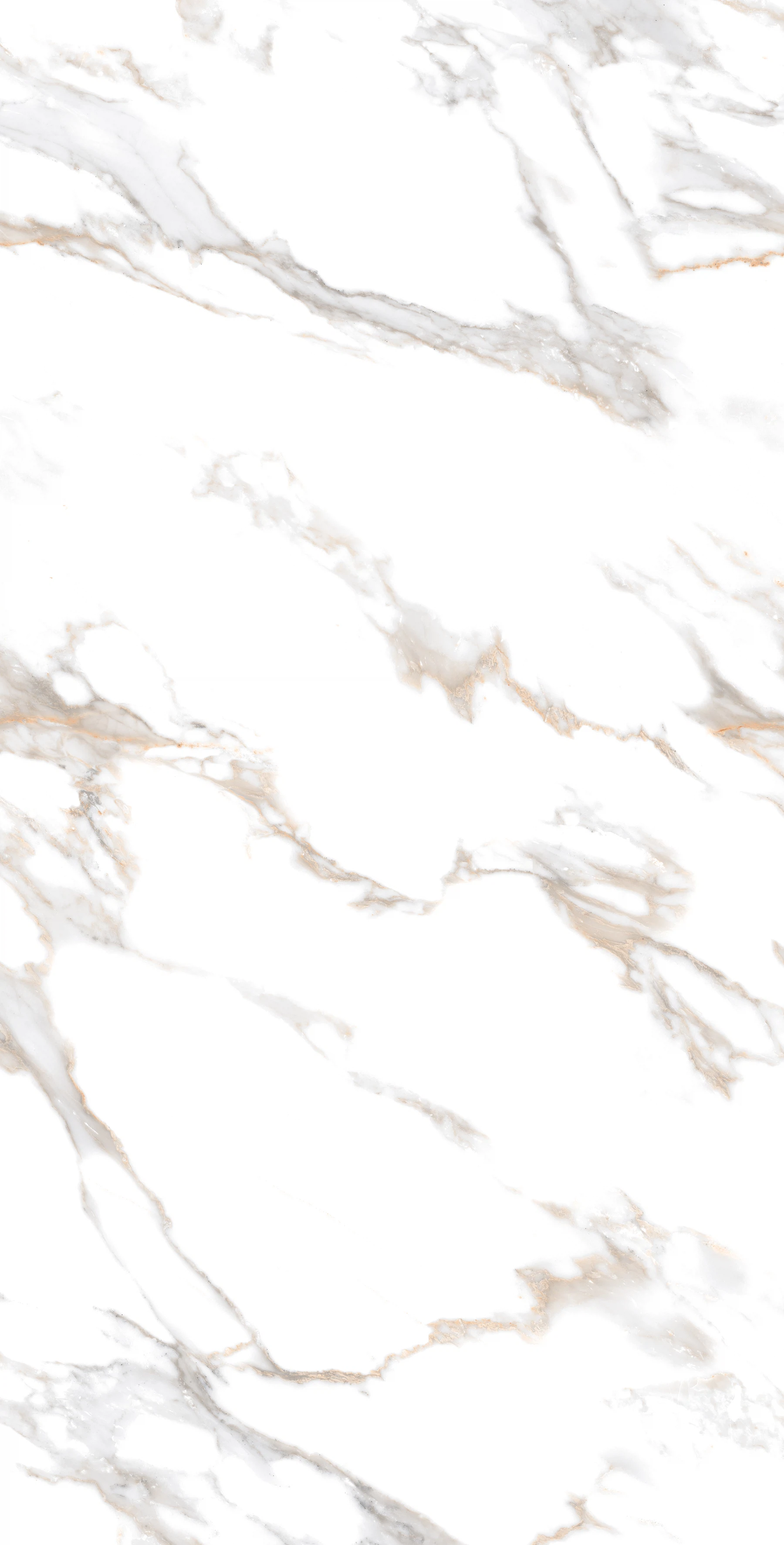 Изображение товара Керамогранит Arcadia Ceramica CALACATTA GOLD 60x120 см