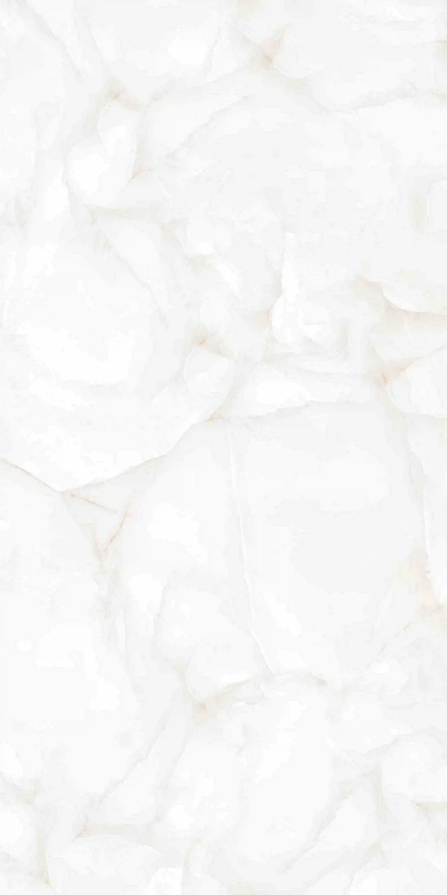 Изображение товара Керамогранит Belleza BRAIS WHITE CARVING 60x120 прямоугольник белый матовый под камень