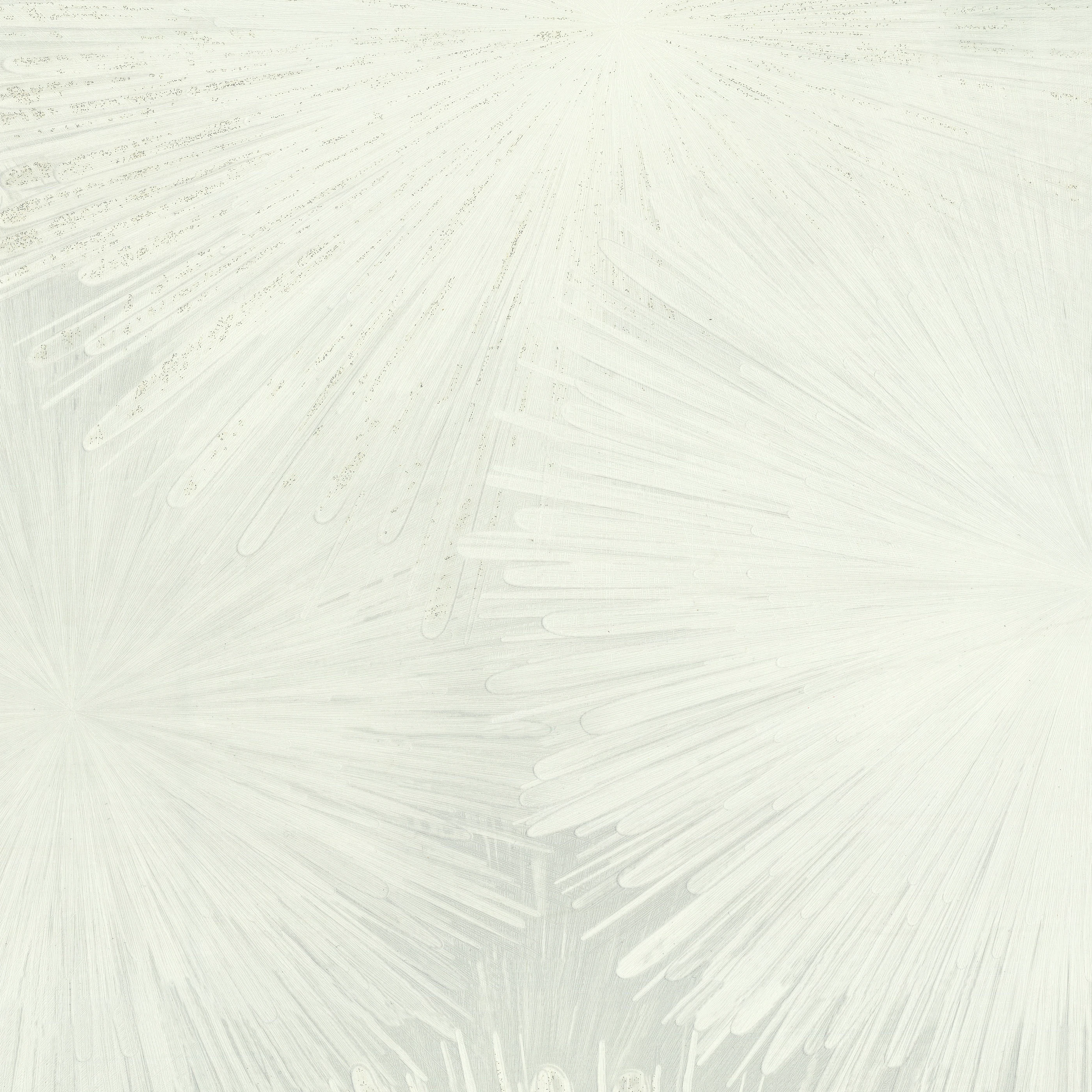 Изображение товара Обои флизелиновые Euro Decor Астра / Aster Серые 10,05м х 1,06м