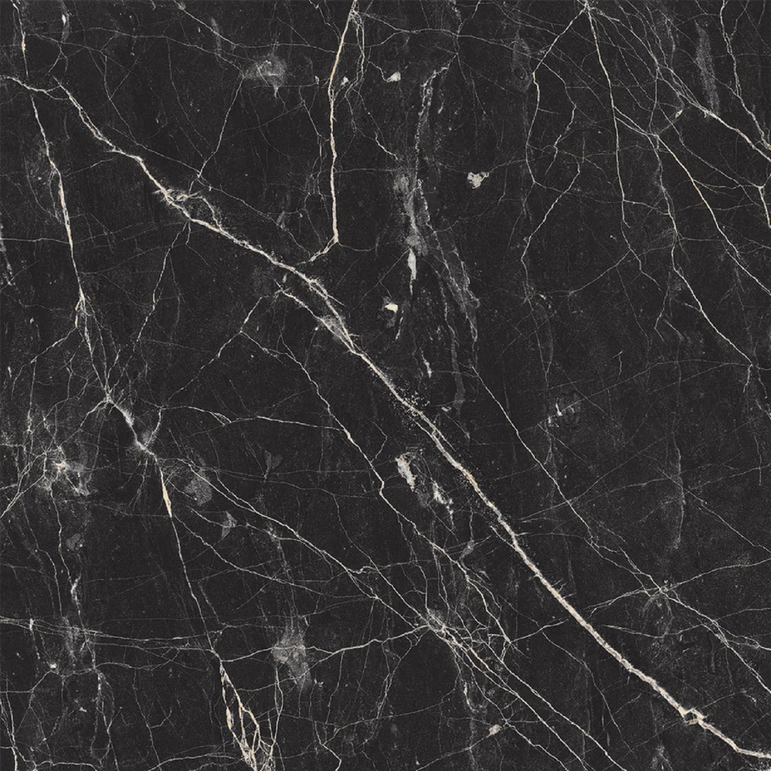 Изображение товара Керамогранит Laparet Black Arkadia черный полированный 60х60