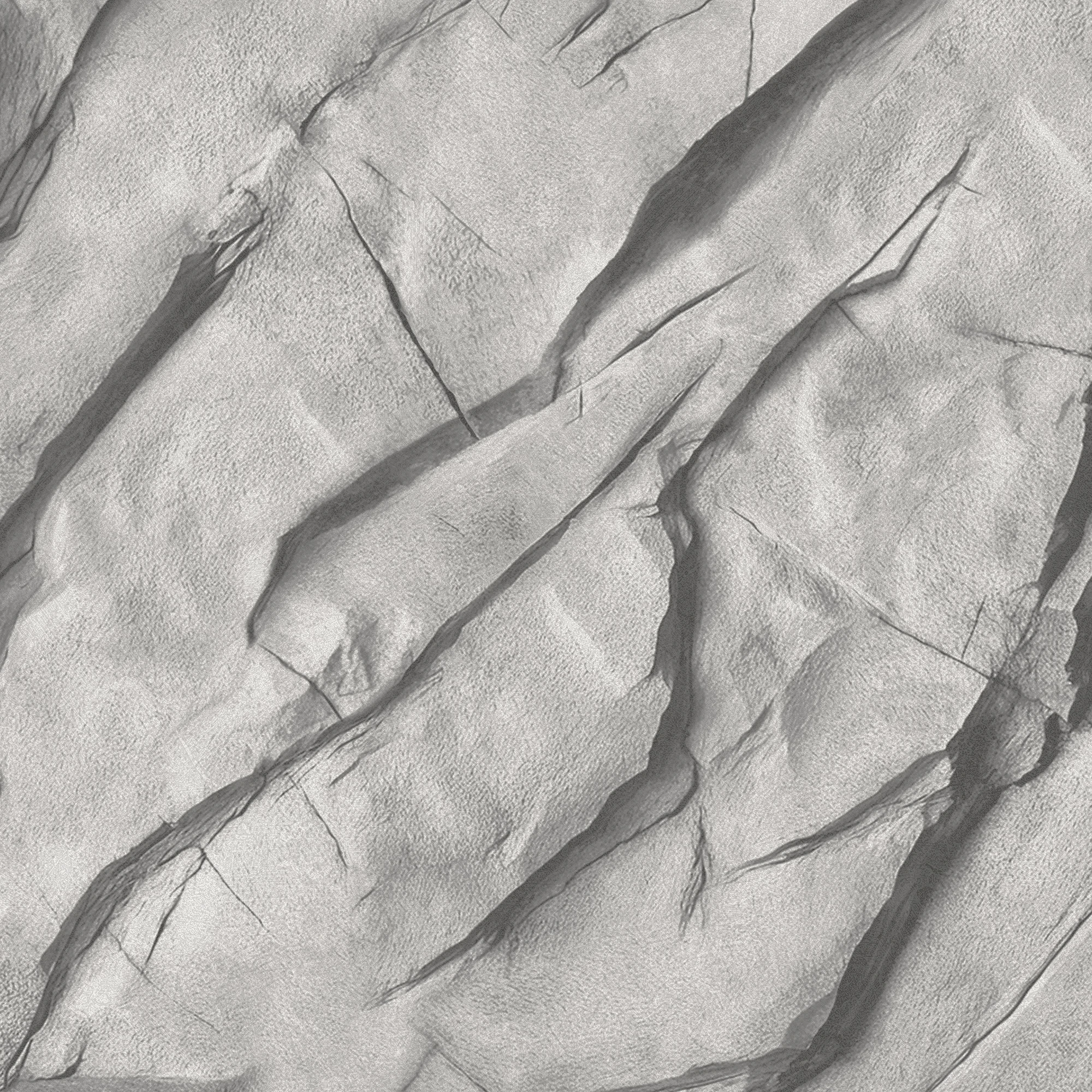 Изображение товара Обои флизелиновые Wallsecret Karelia пепельный 10,05x1,06м. армированные современные